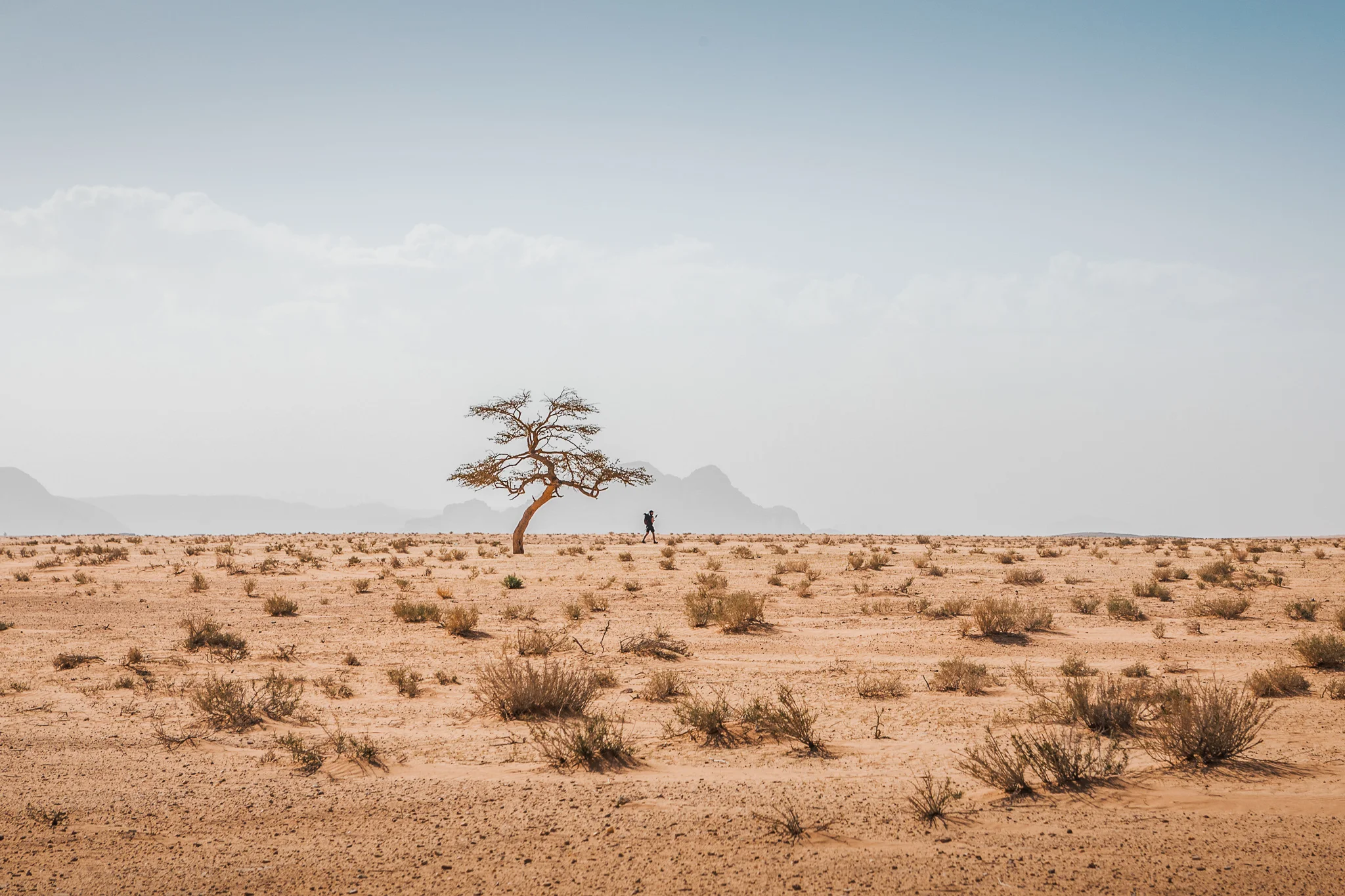 Ali-Barqawi-Studios-Explore-Series-Travel-Adventure-Jordan-Trail