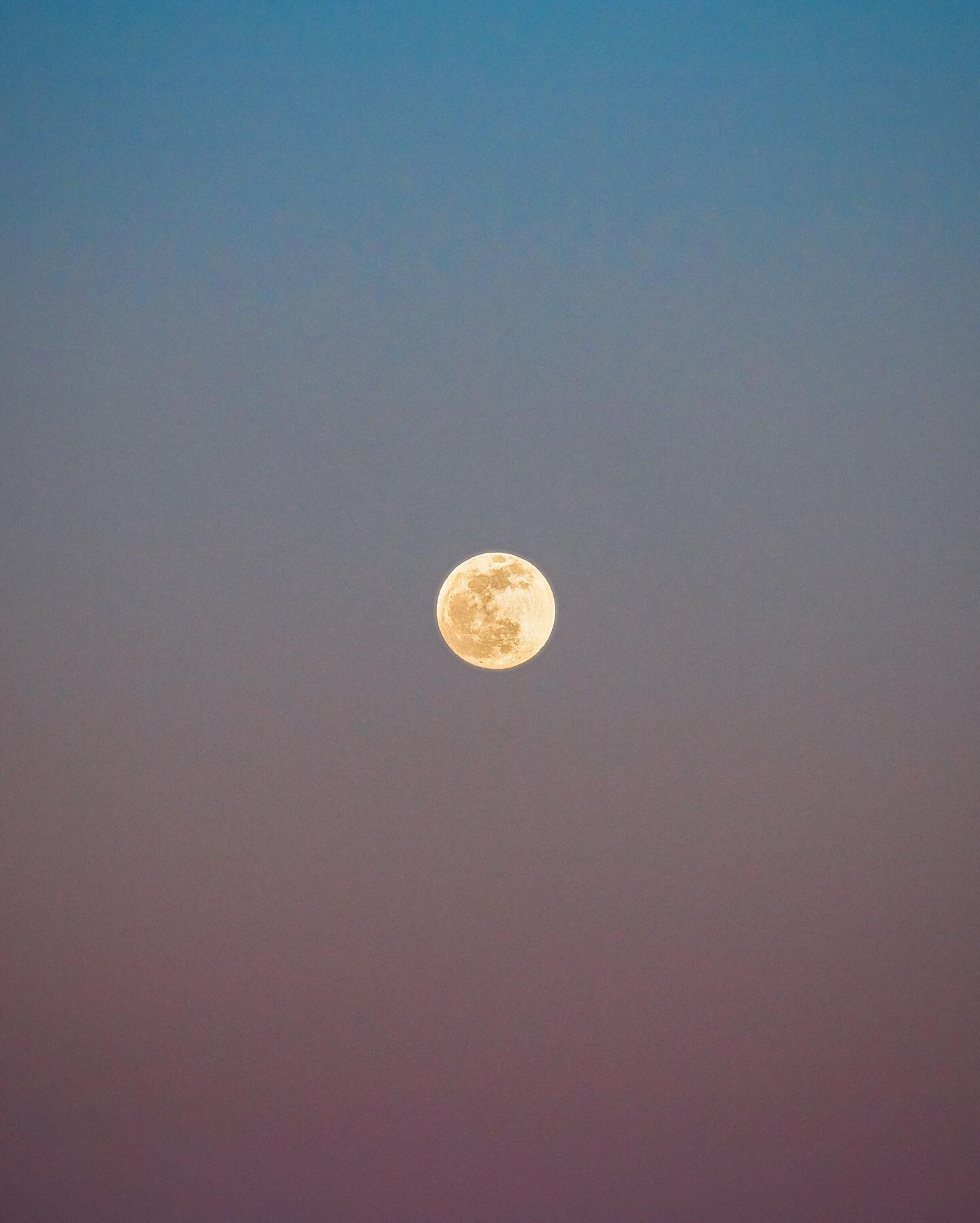 Super moon ...
👉 swipe for a closer look at the super moon
.
.
.
🖼 The super moon during the blue hour.

📸 Captured in Amman.

📷 Shot with @canonme EOS-R ( EF 70-200mm, F2.8 ).

💻 Edited with Adobe Lightroom Classic and merged in photoshop
.
.
.