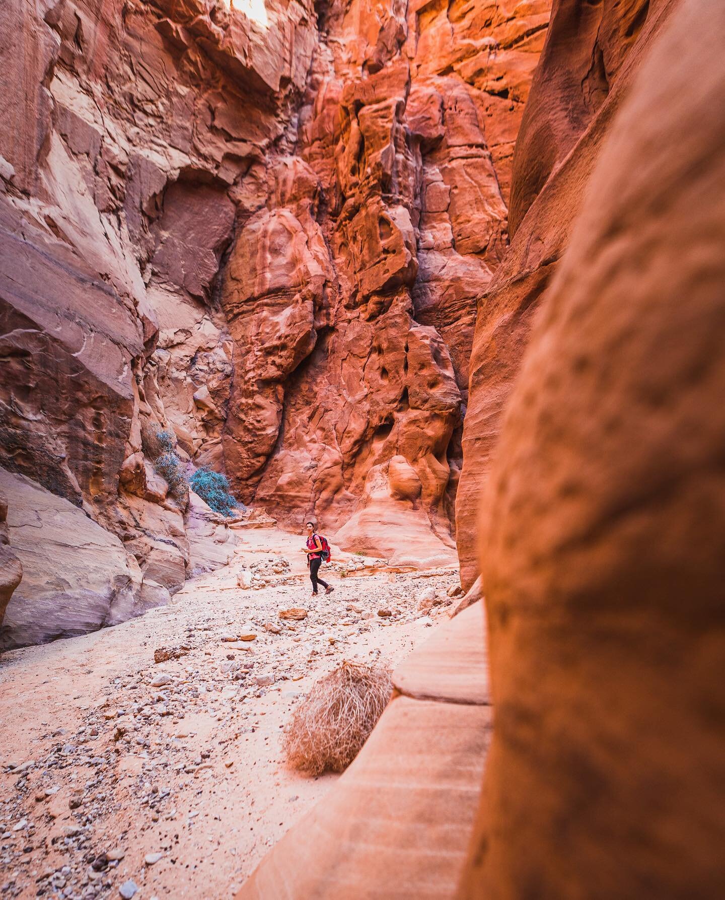 Into the narrows...
👉 swipe for more photos from this hike
.
.
.
🖼 Hiking Wadi Aheimar to Humaima section from the @jordan_trail .

📸 Captured on a commissioned project for @visitjordan.

📷 Shot with @canonme 5DmIV ( 24-70mm f/2.8 )

💻 Edited wi