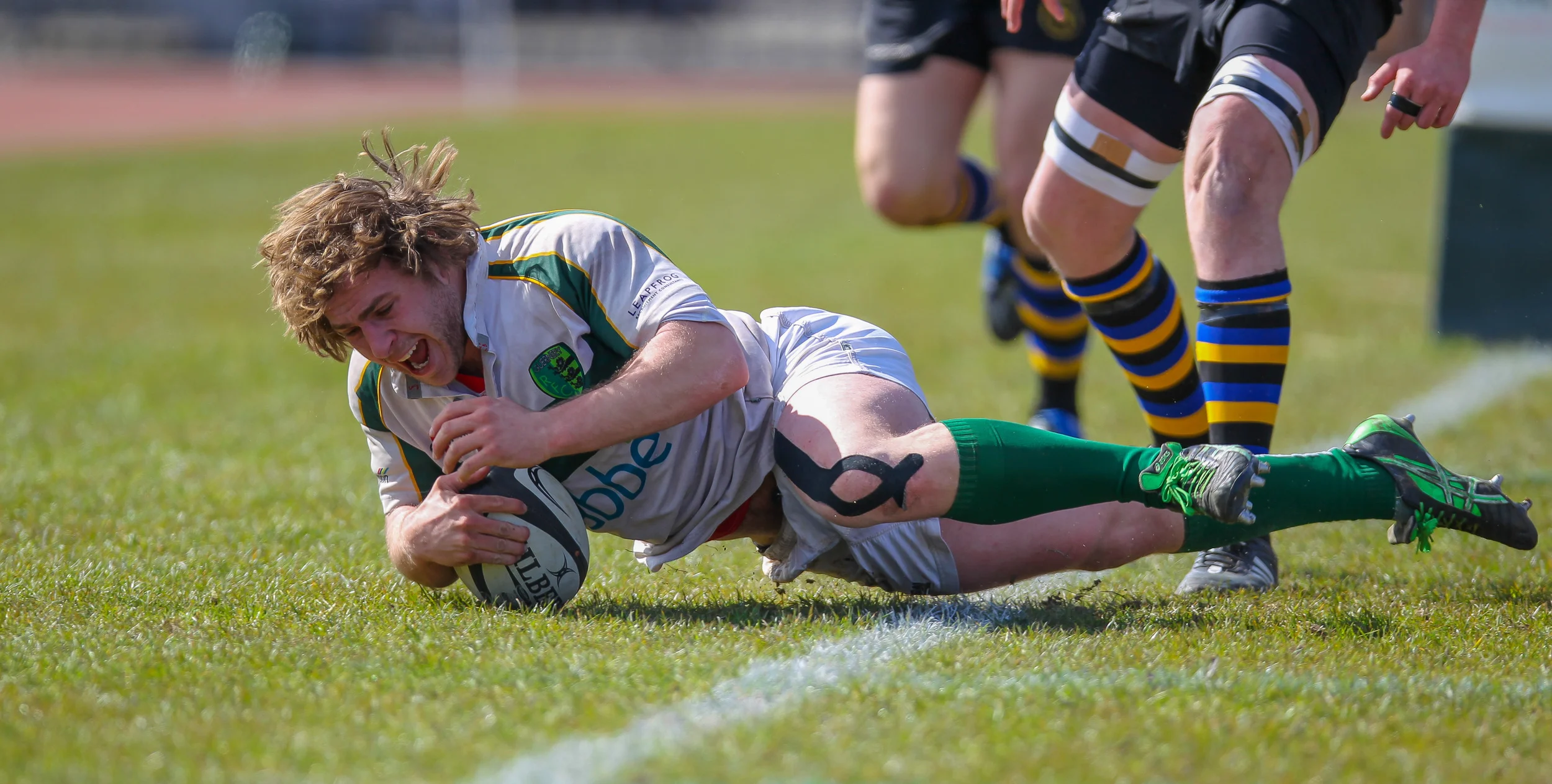 Tom Pool TRY-1819.jpg