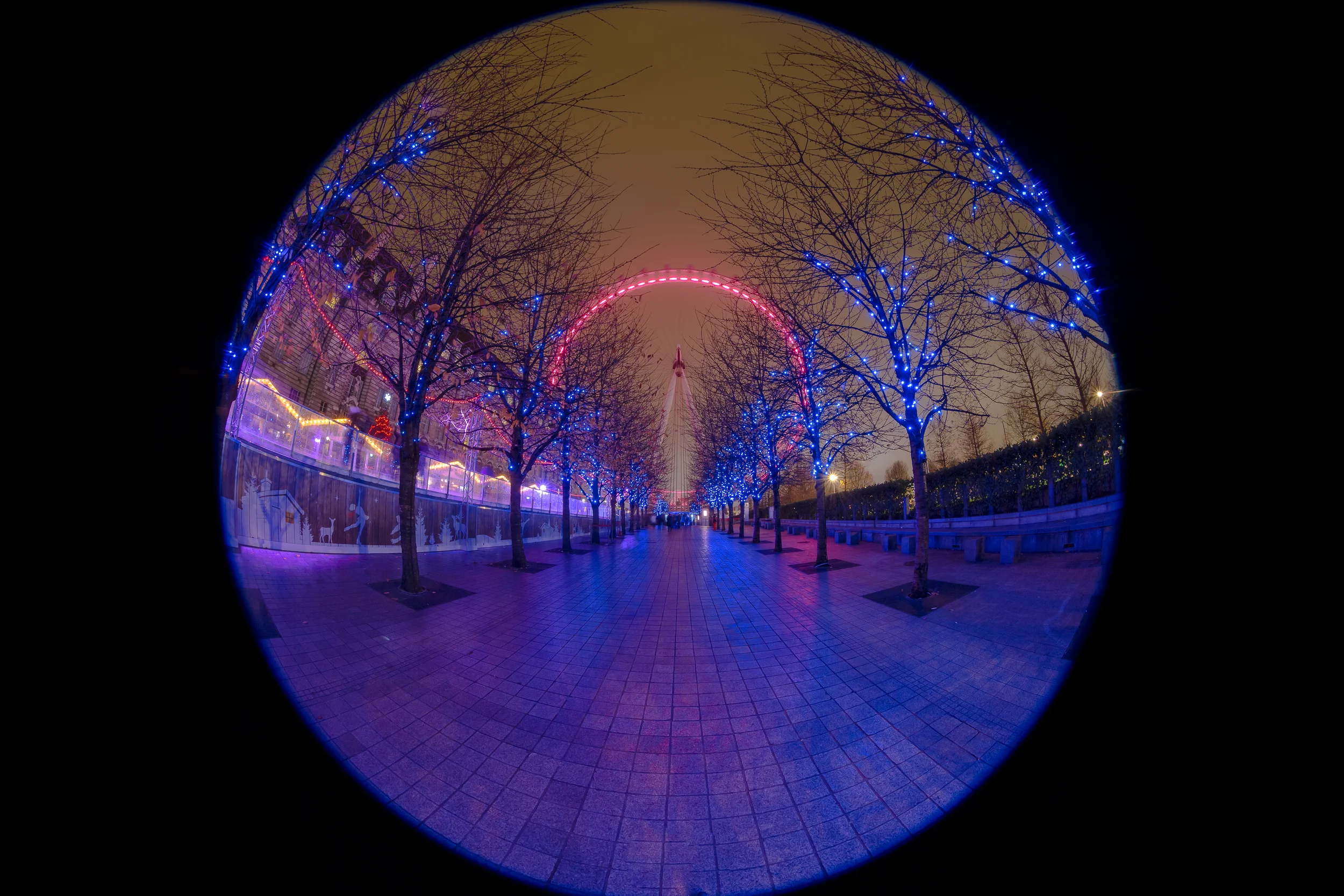 'Blue Christmas'… I've wanted to shoot this Christmas view of the London Eye for a while and it was worth waiting for!