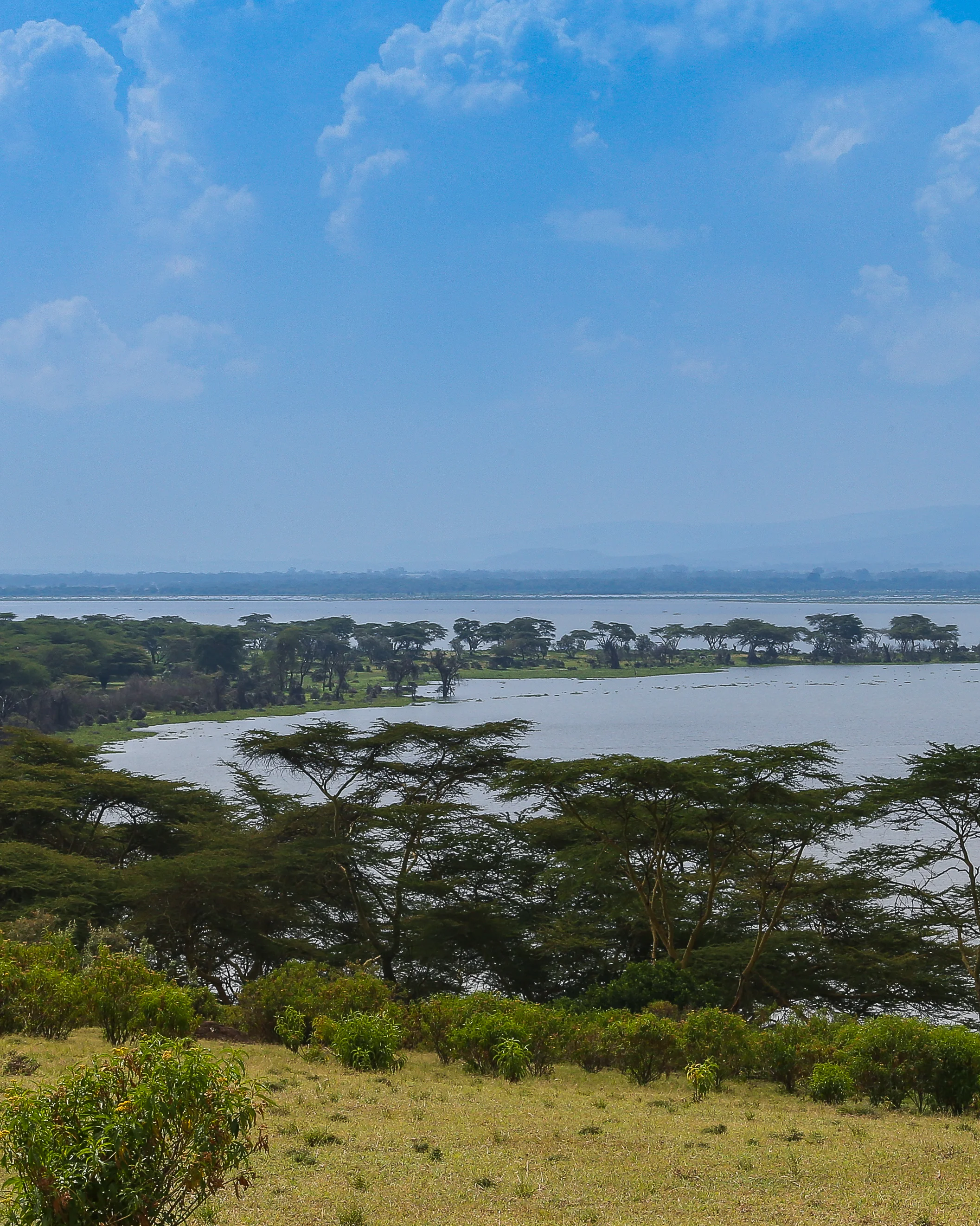 2 Crescent Island-1276.jpg