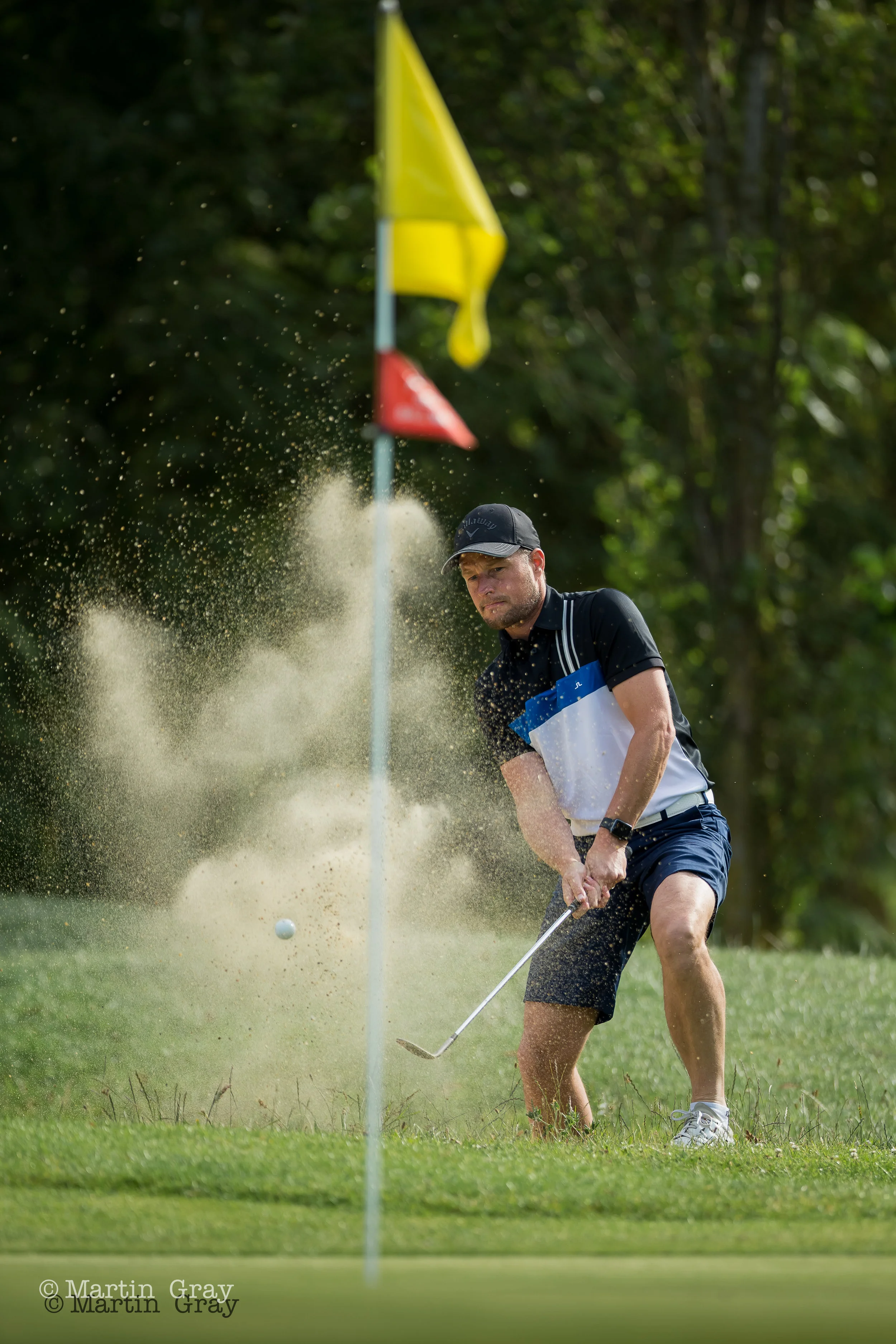 Steve Mahy-6573.jpg