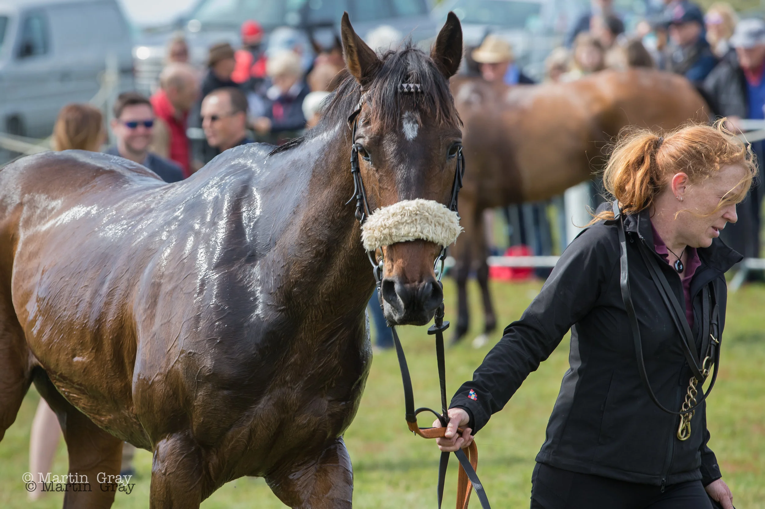 Rainbow Lad is cooled down in the winners enclosure-8101.jpg
