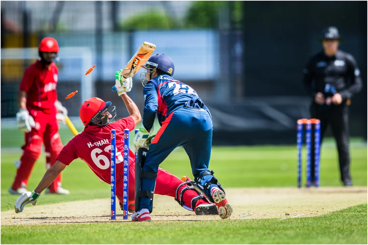 ‘The Run Out’… Wyvern International 2019 - Colour Open Acceptance…