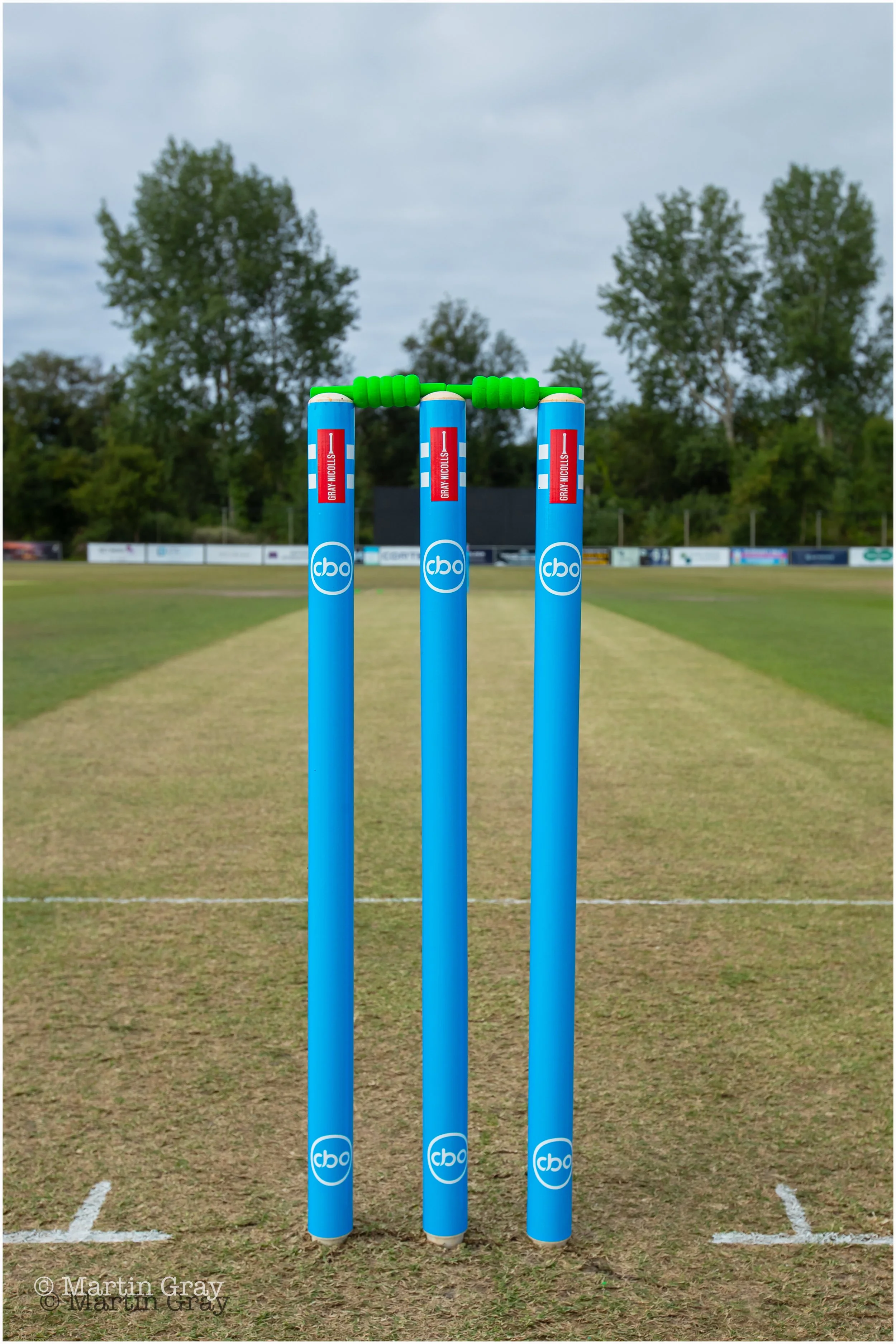 CBO Stumps-3813.jpg