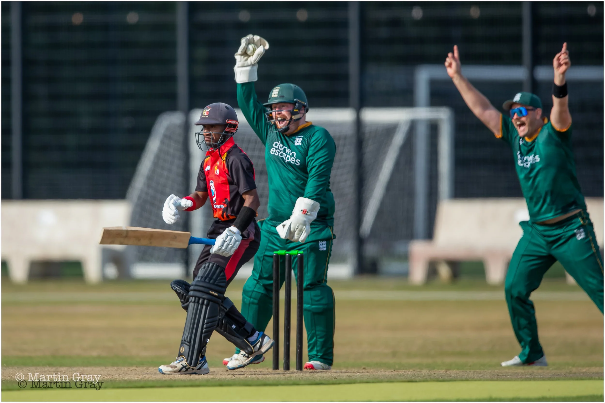 Alex Bushell successful appeal for a catch to dismiss Patrick Nou-7602.jpg