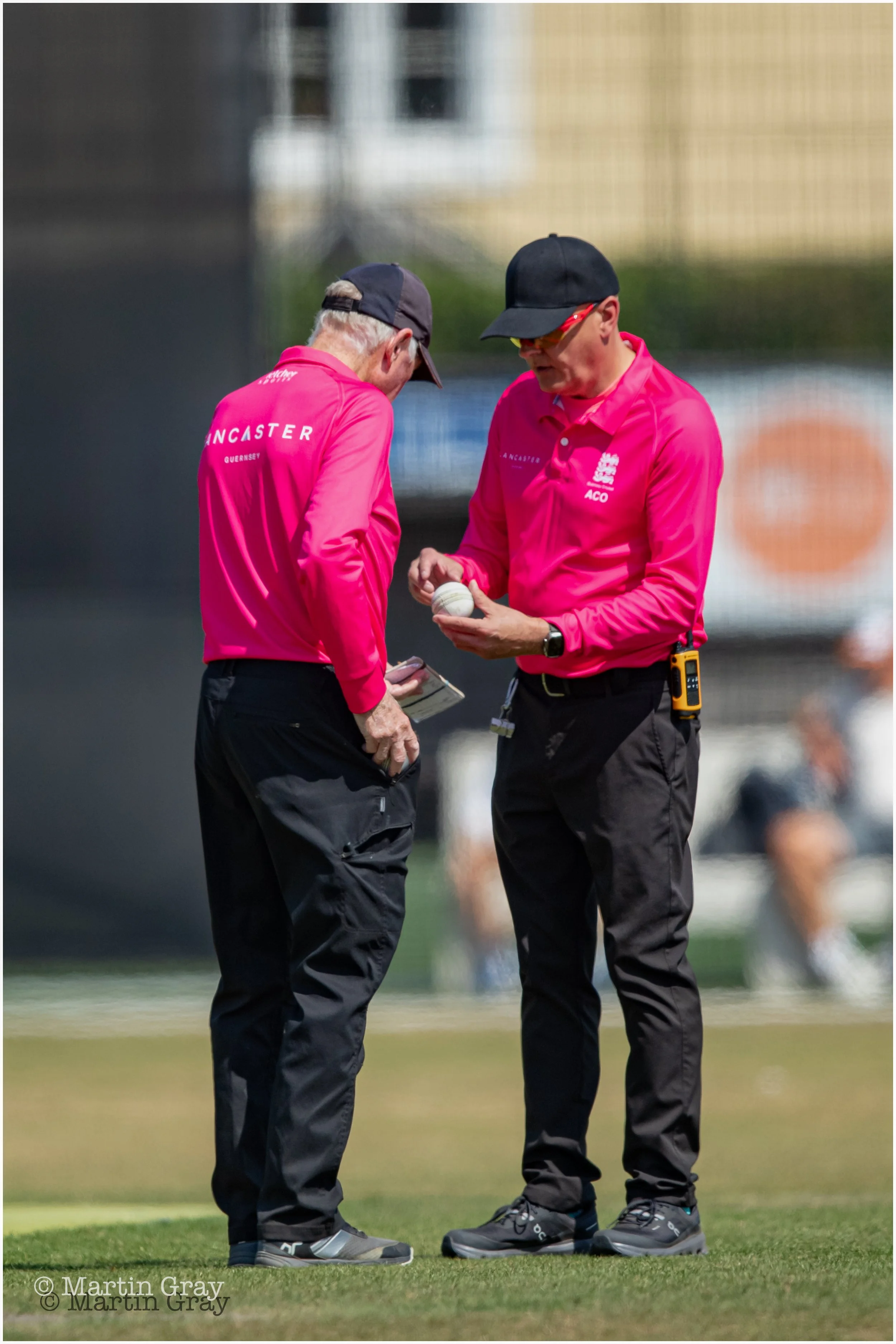 Umpires and ball check-7007.jpg