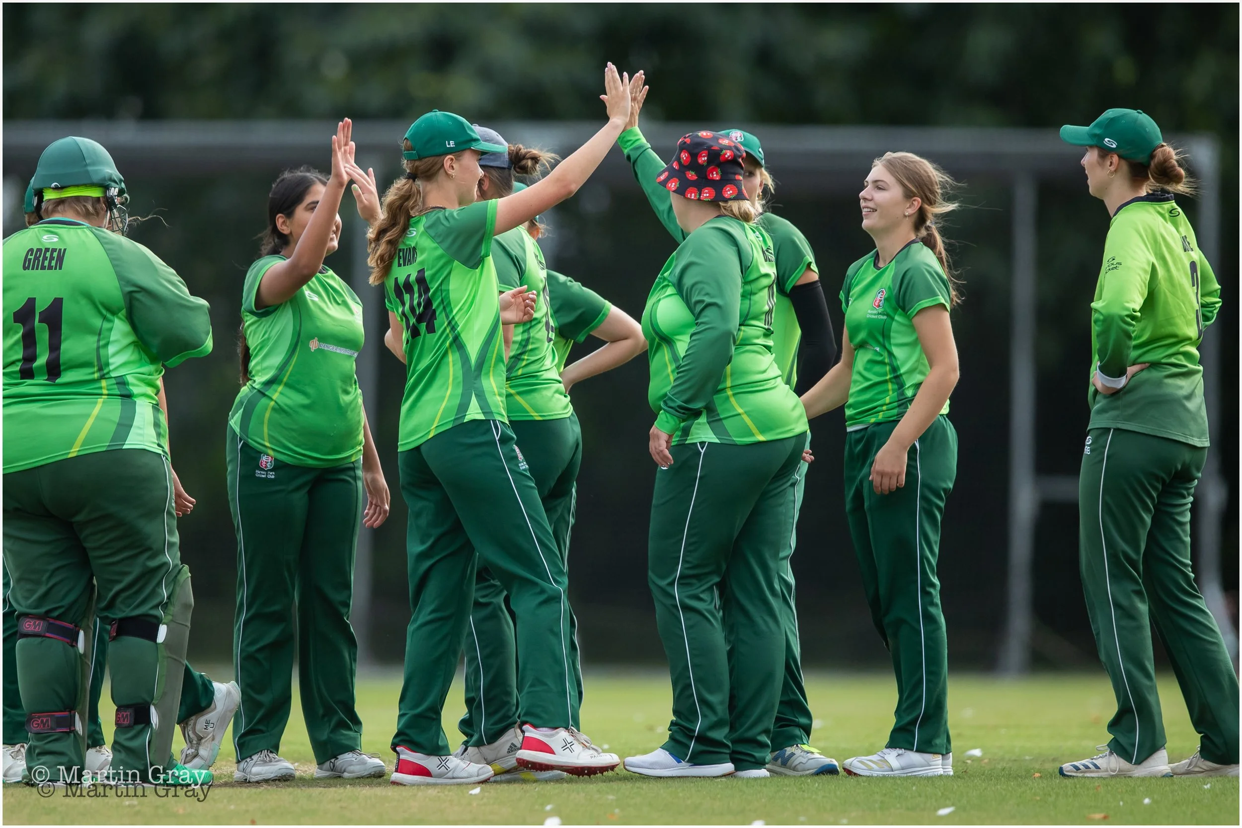 Horsley Park celebrate a wicket-7879.jpg
