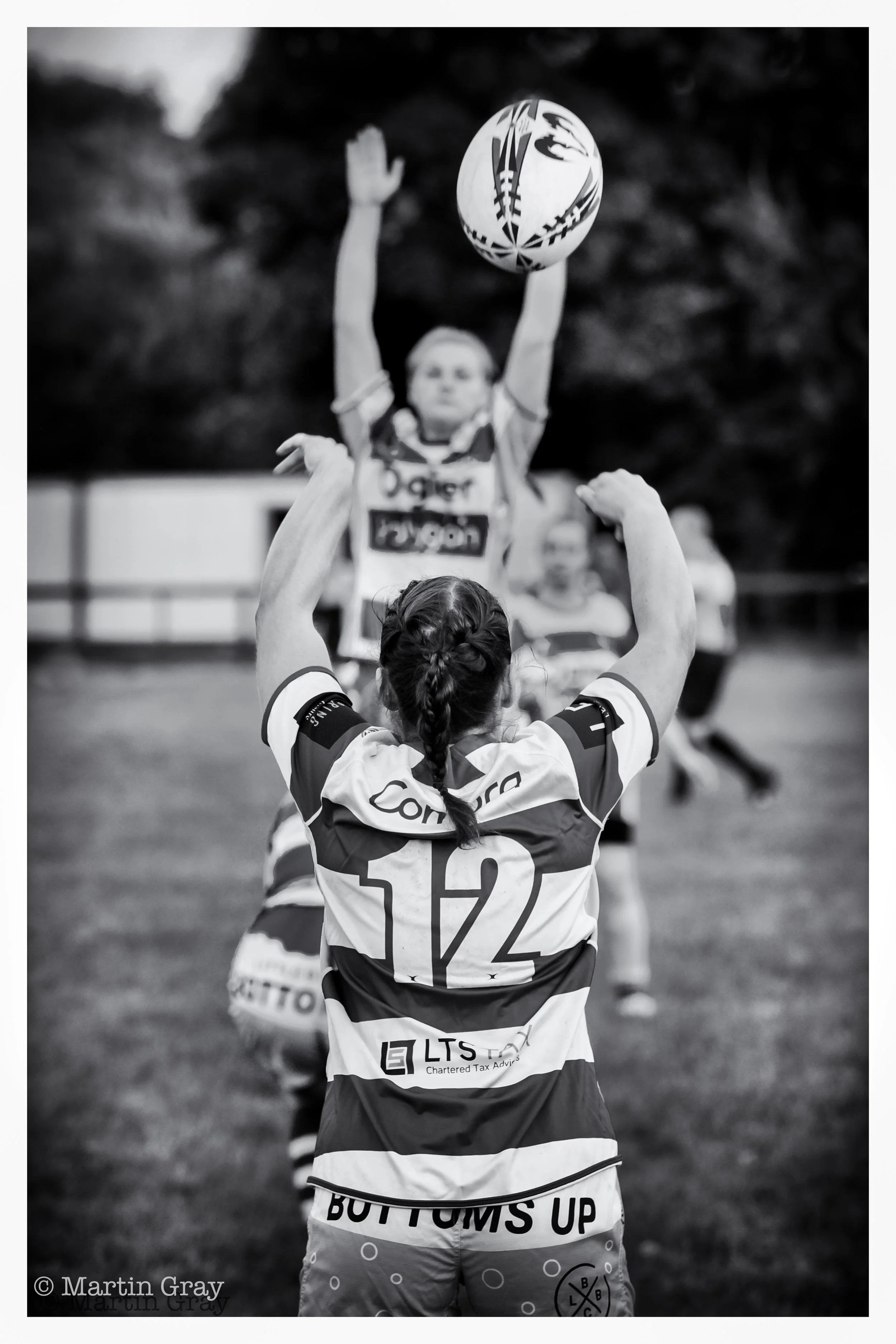 The Lineout-2.jpg