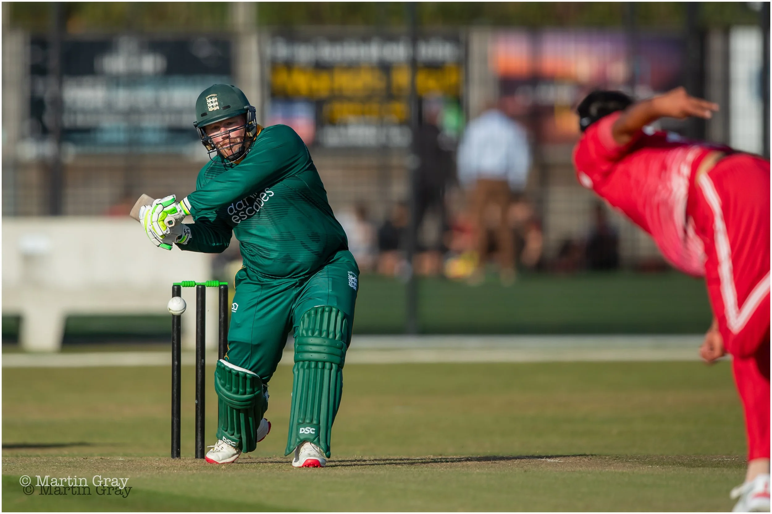 Alex Bushell-0974.jpg