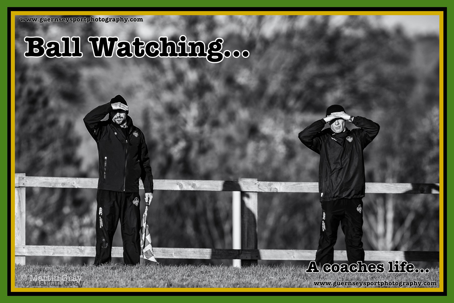 Ball Watching.jpg