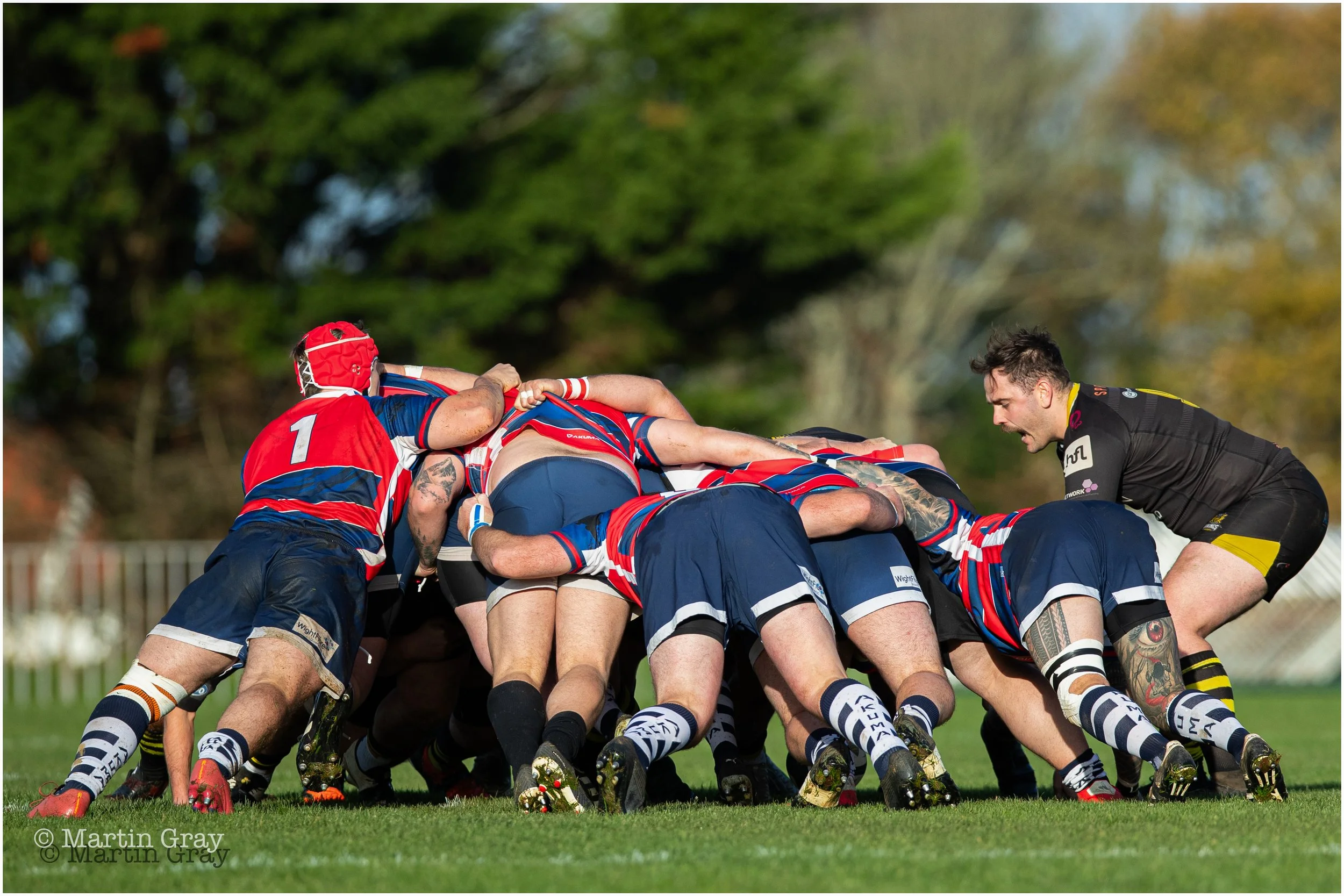 Vikings scrum-3274.jpg