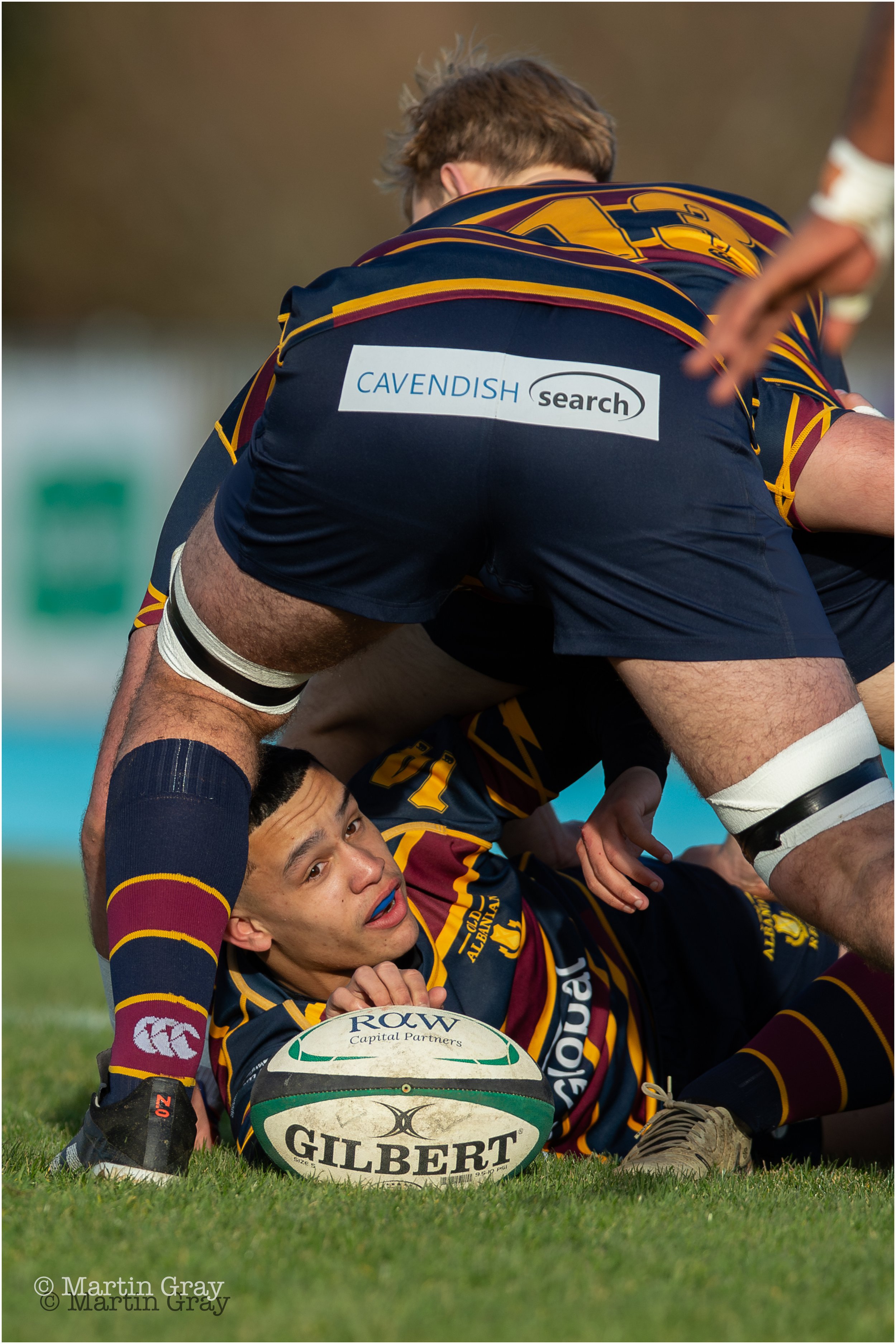 Old Albanians RFC-9088.jpg