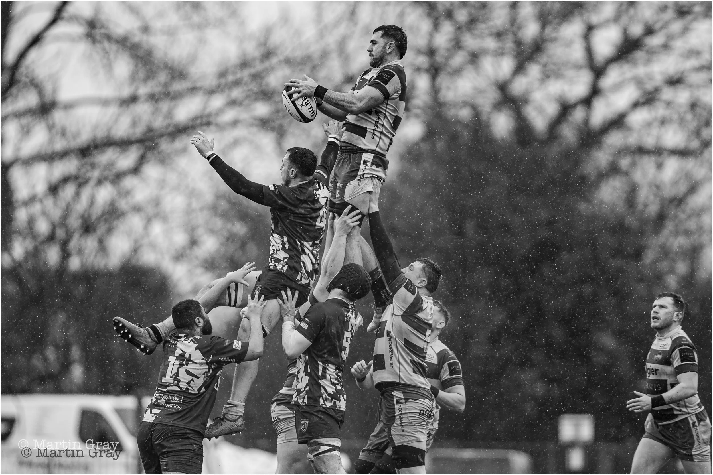 Brad Webb  Lineout-3248.jpg