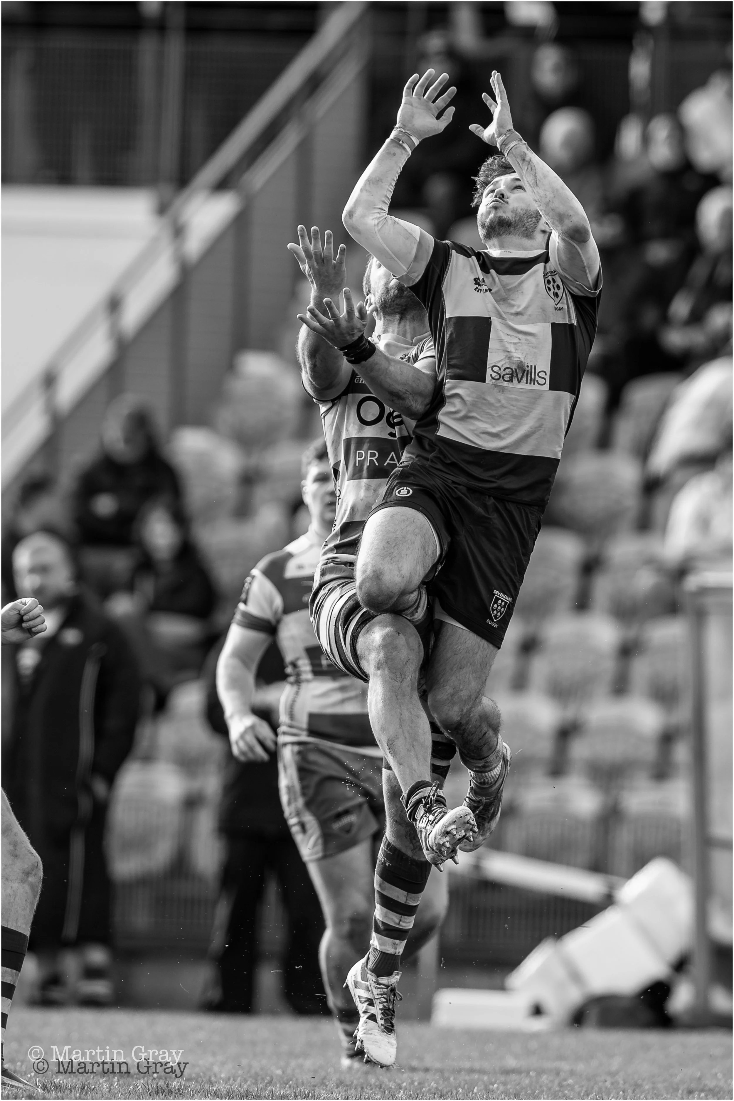 What goes up B+W-0123.jpg