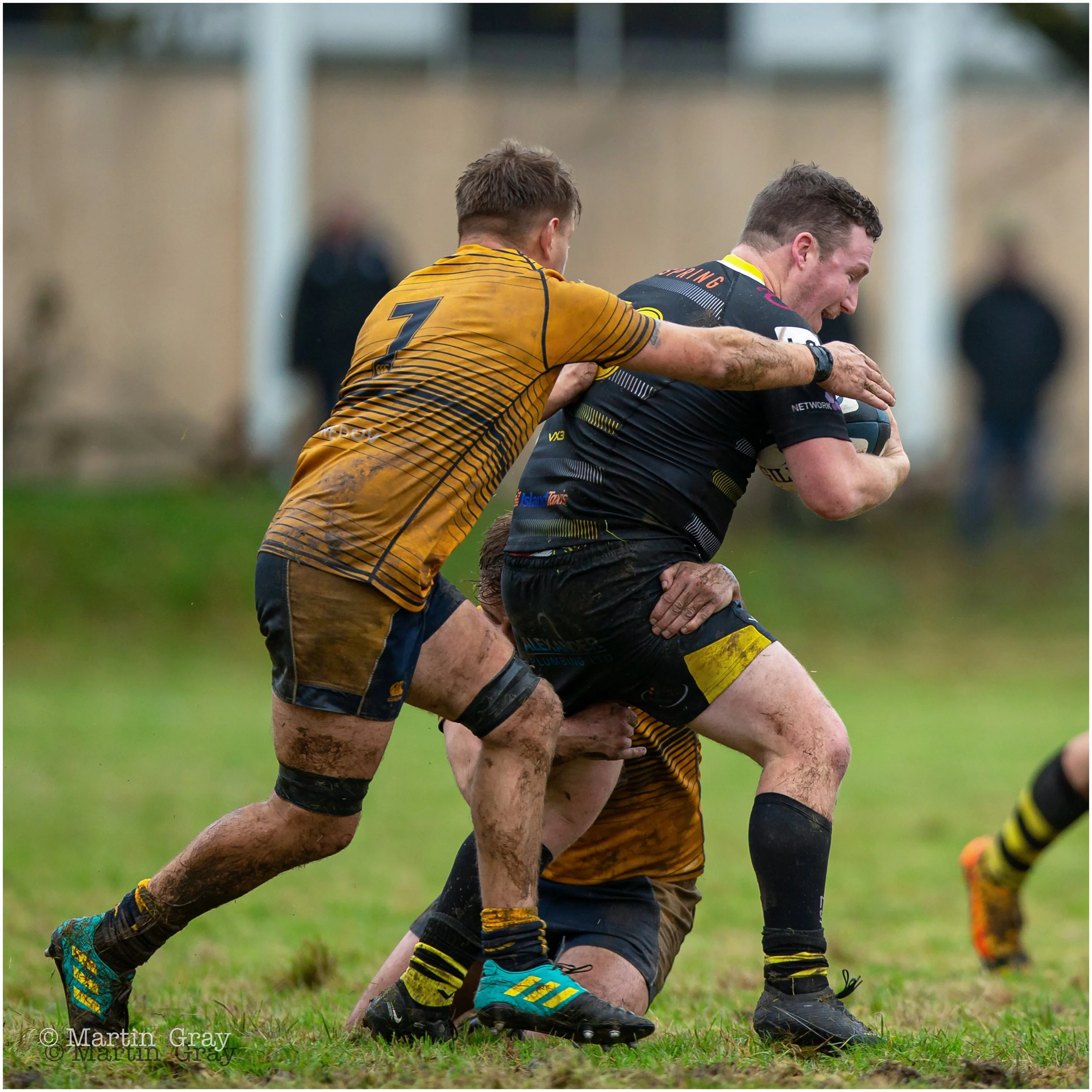 Tom Veillard-5691.jpg