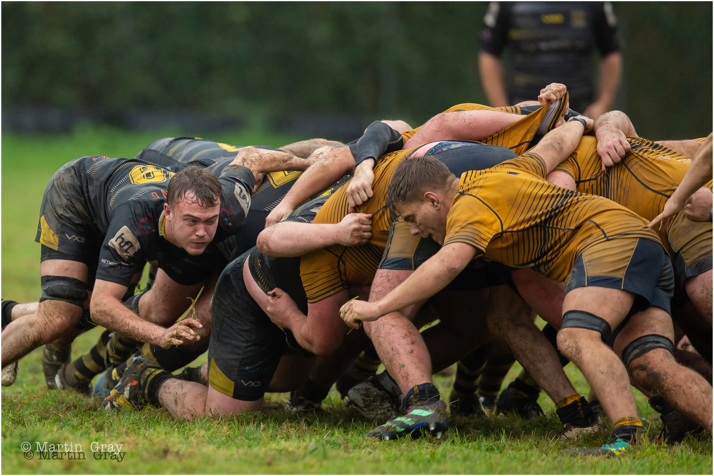 Vikings scrum-5973.jpg