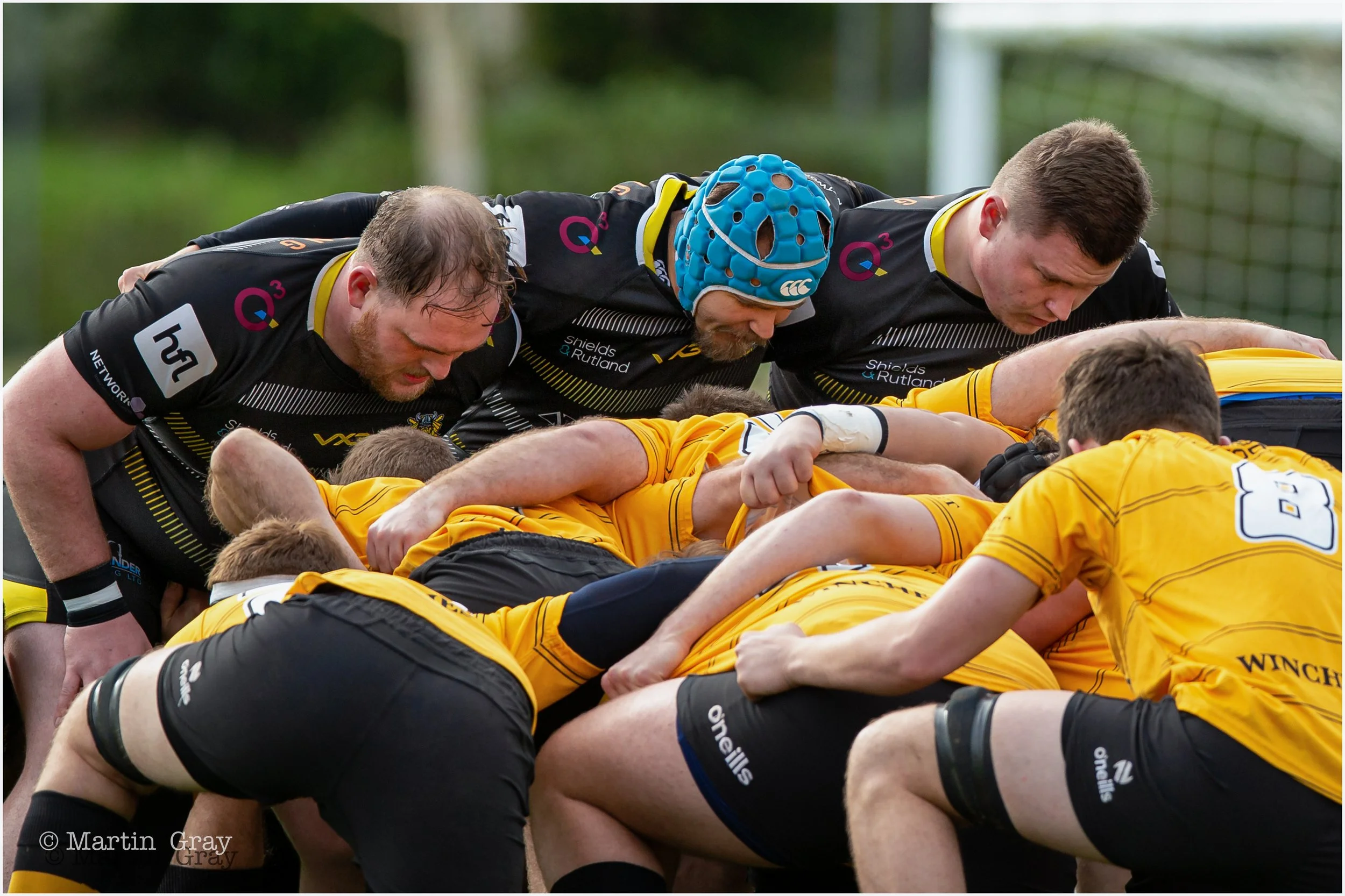 Vikings front row-3601.jpg