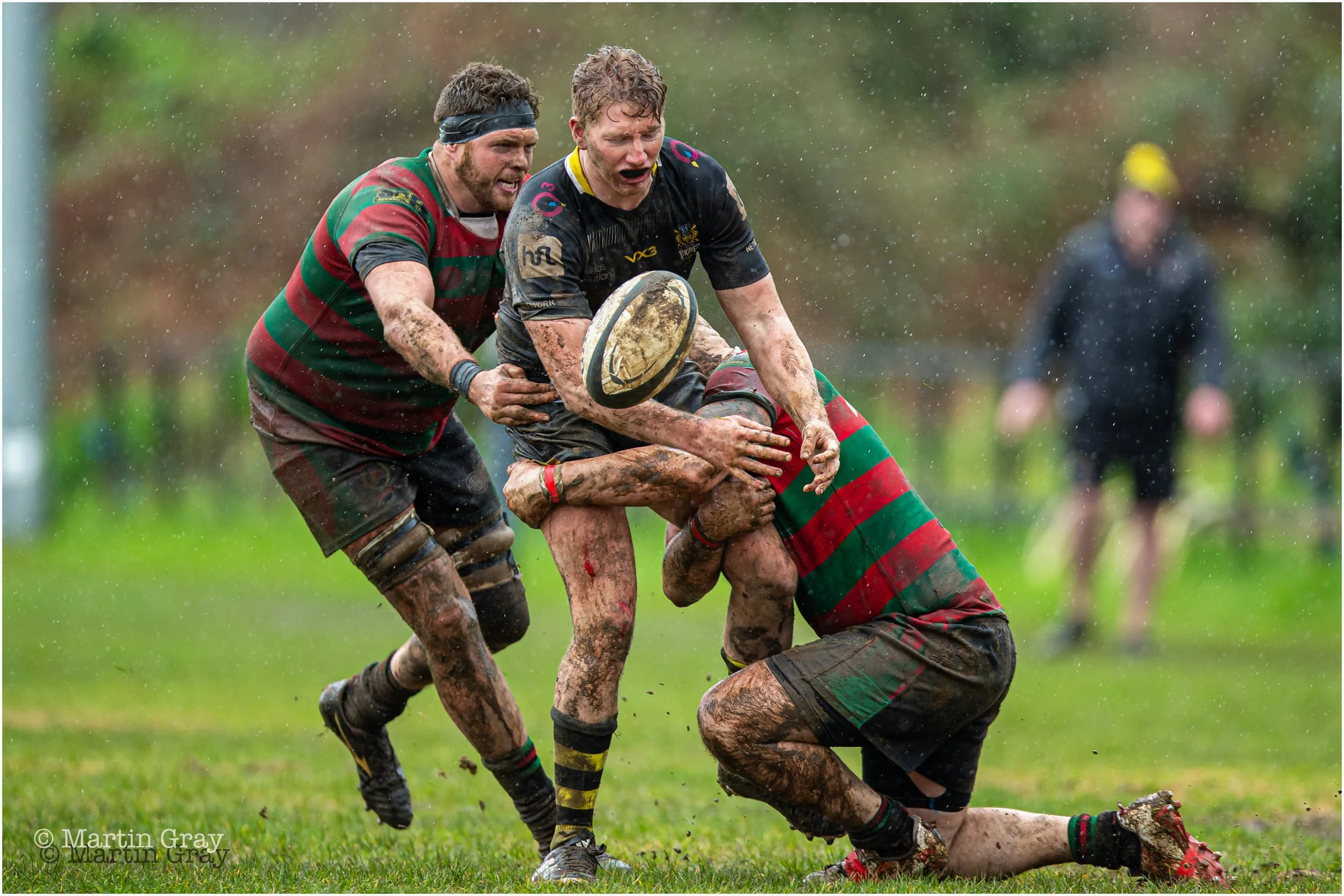 Will Forbes-Lee-8255.jpg