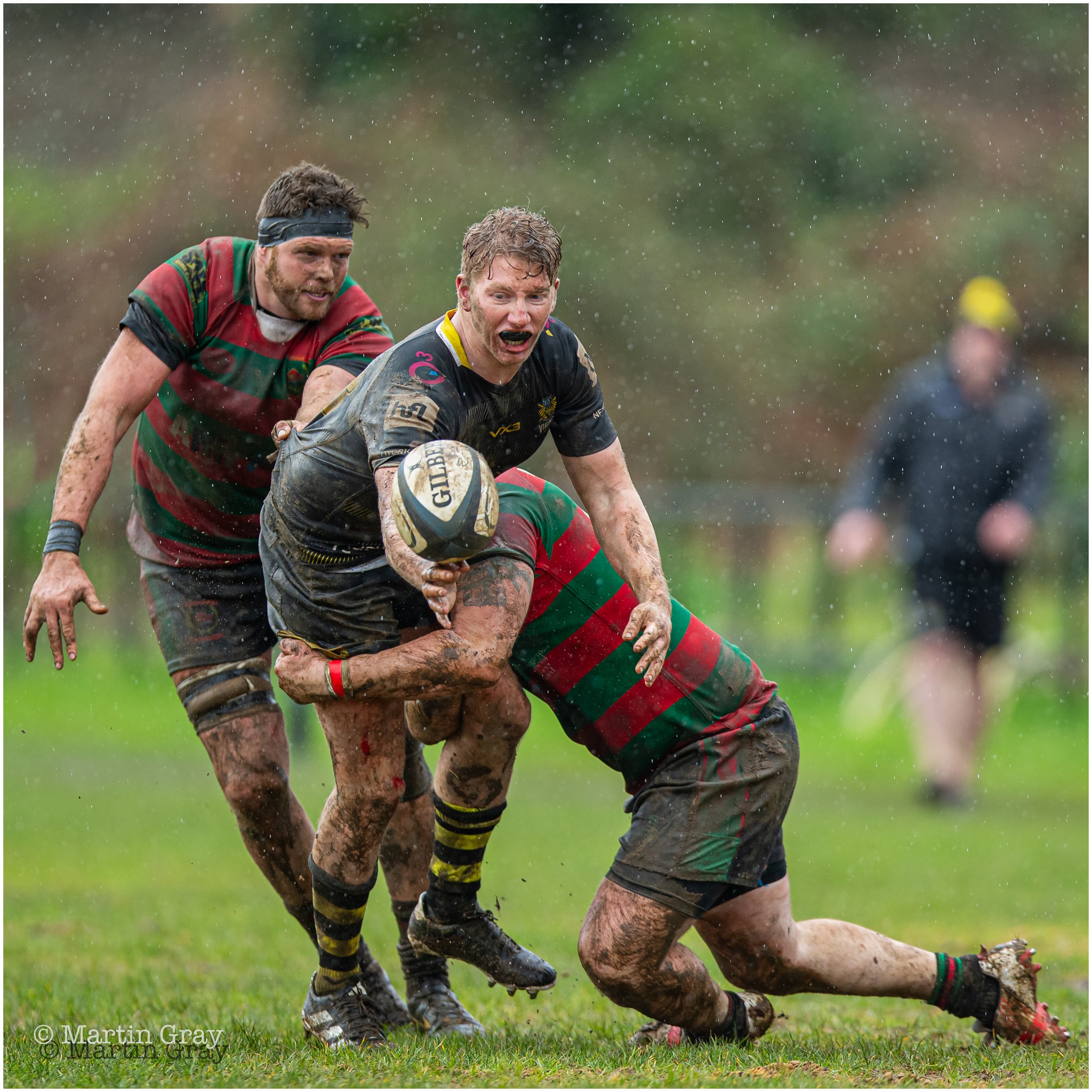 Will Forbes-Lee-8257.jpg