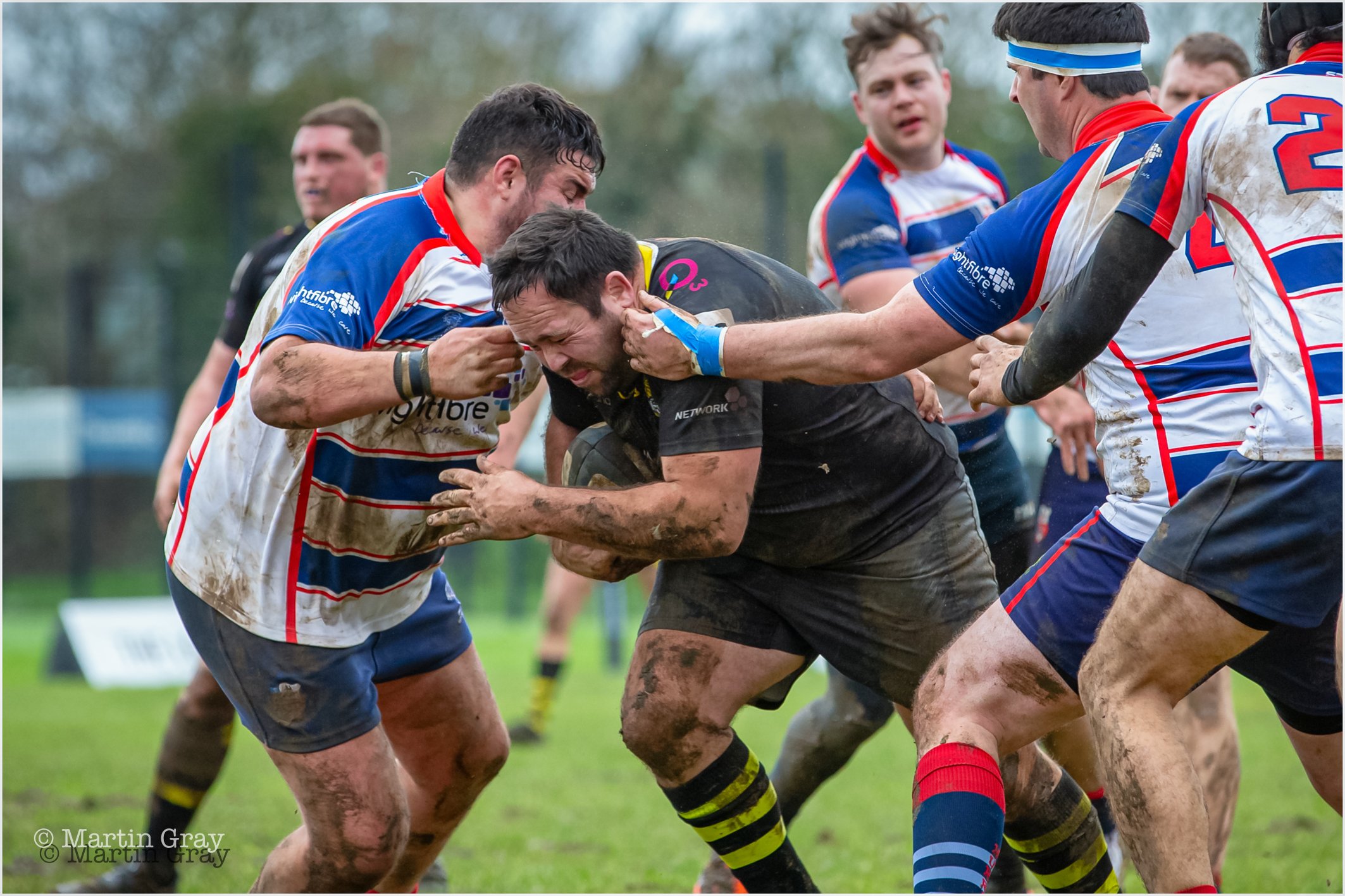 Darrin Bellingham-8456.jpg