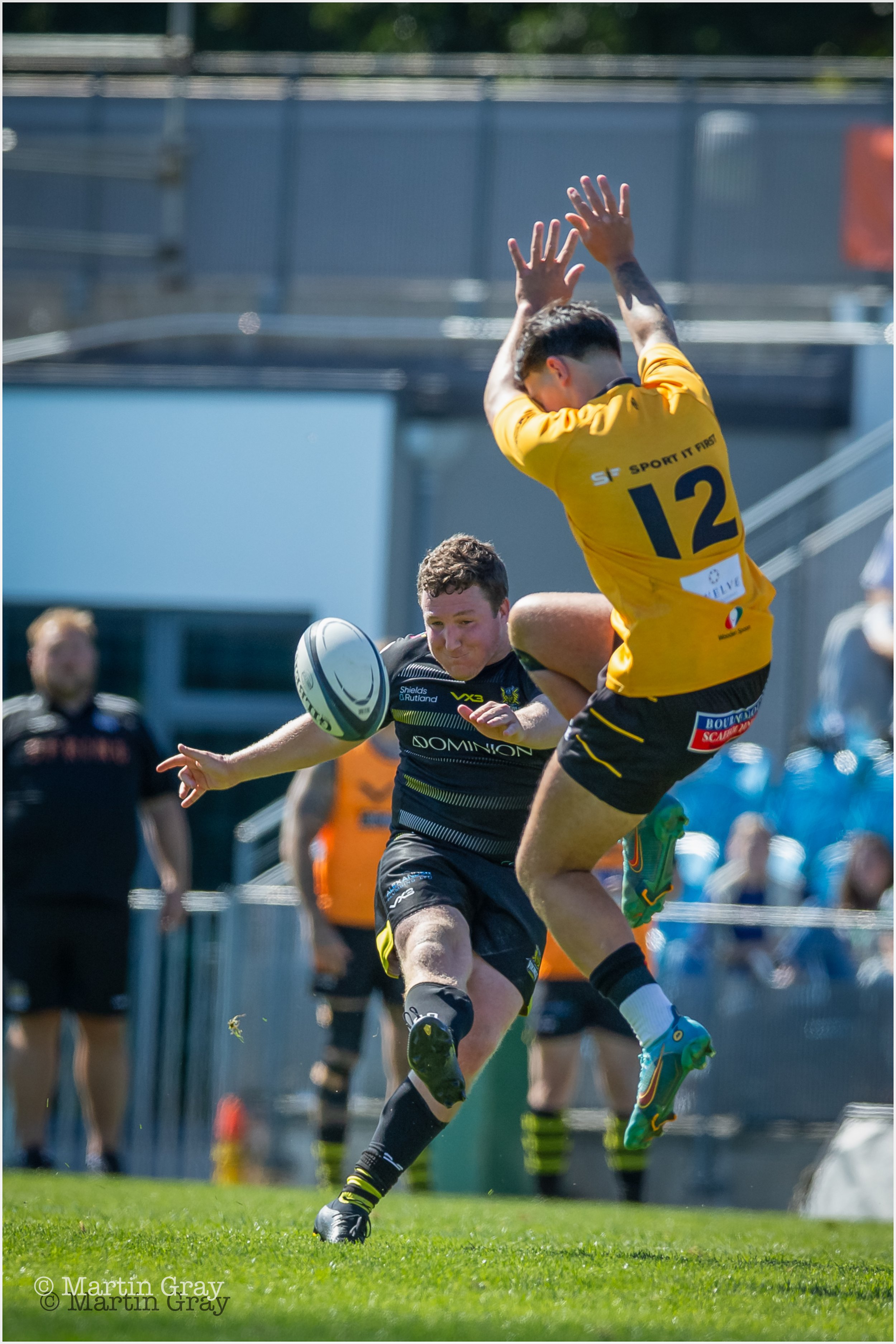 Tom Veillard-3098.jpg