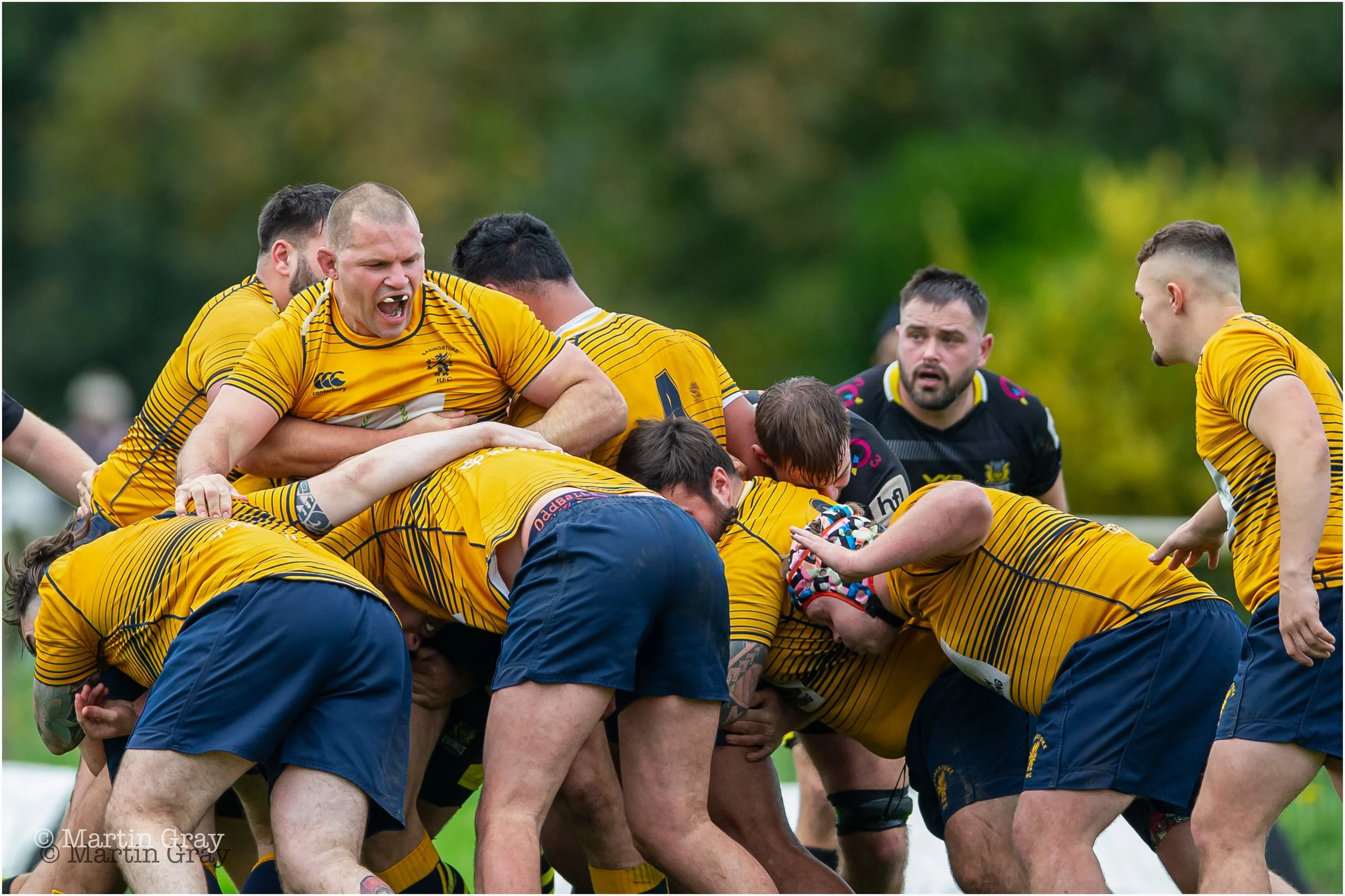 Basingstoke RFC-5243.jpg
