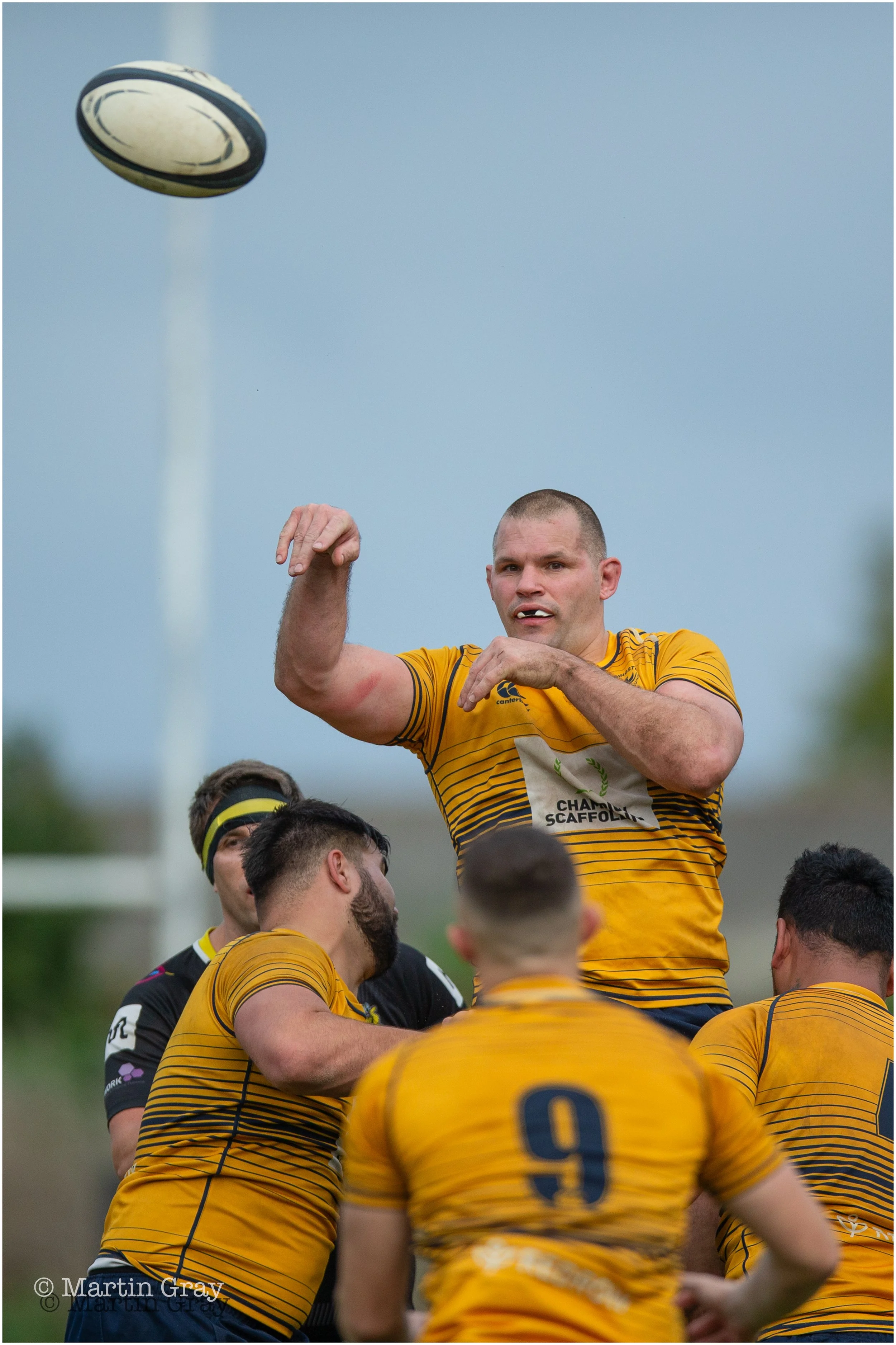 Lineout-5520.jpg