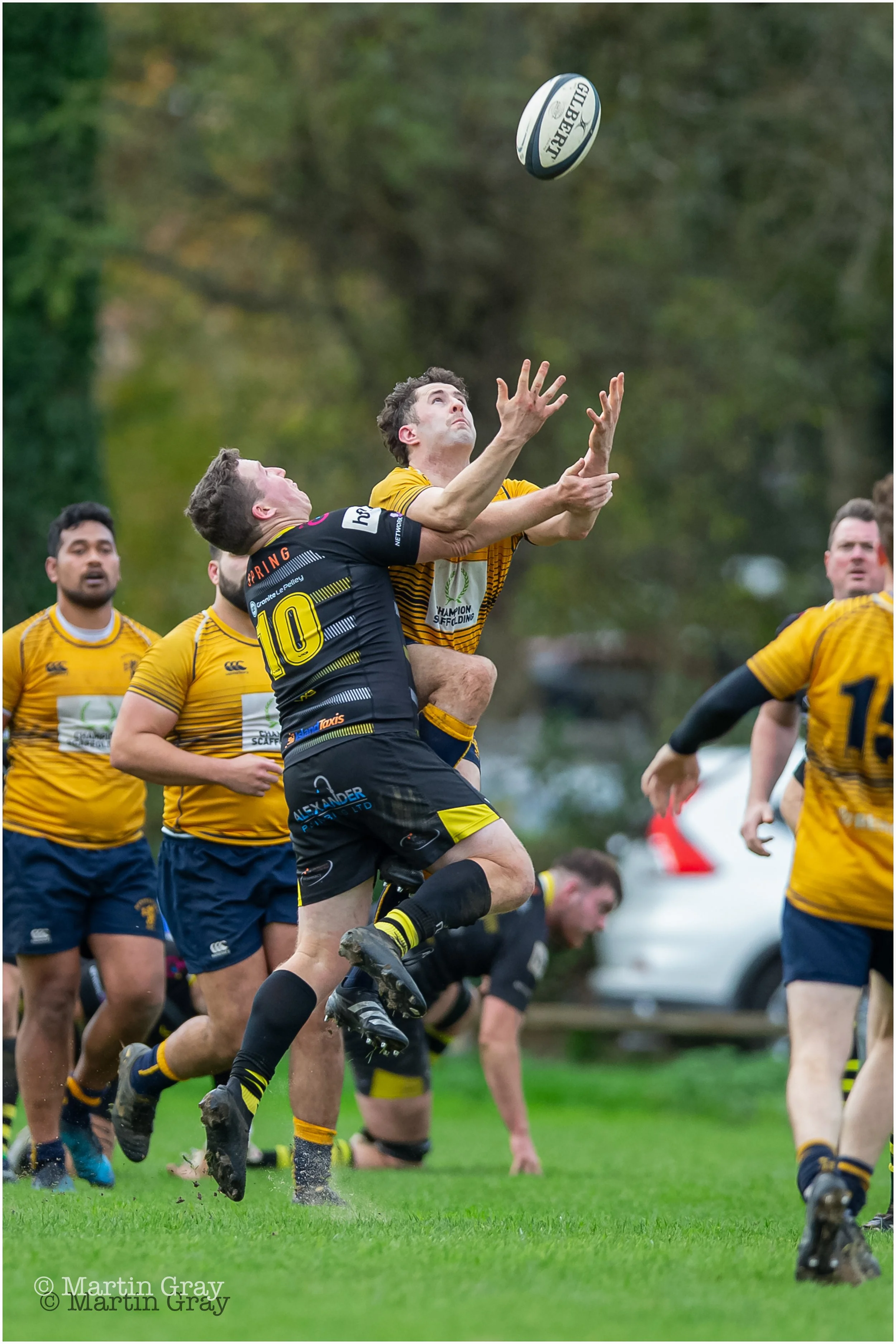 Tom Veillard-5405.jpg