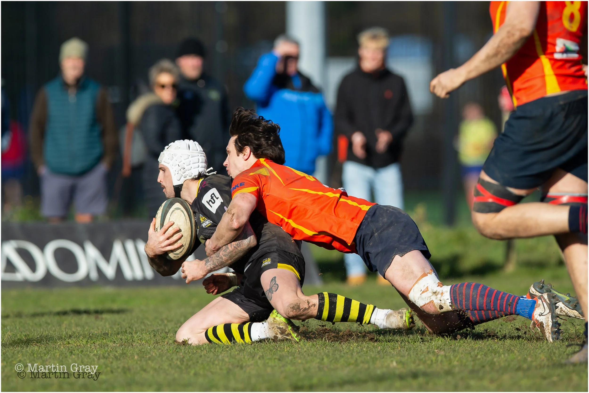 Taylor Quate-1533.jpg