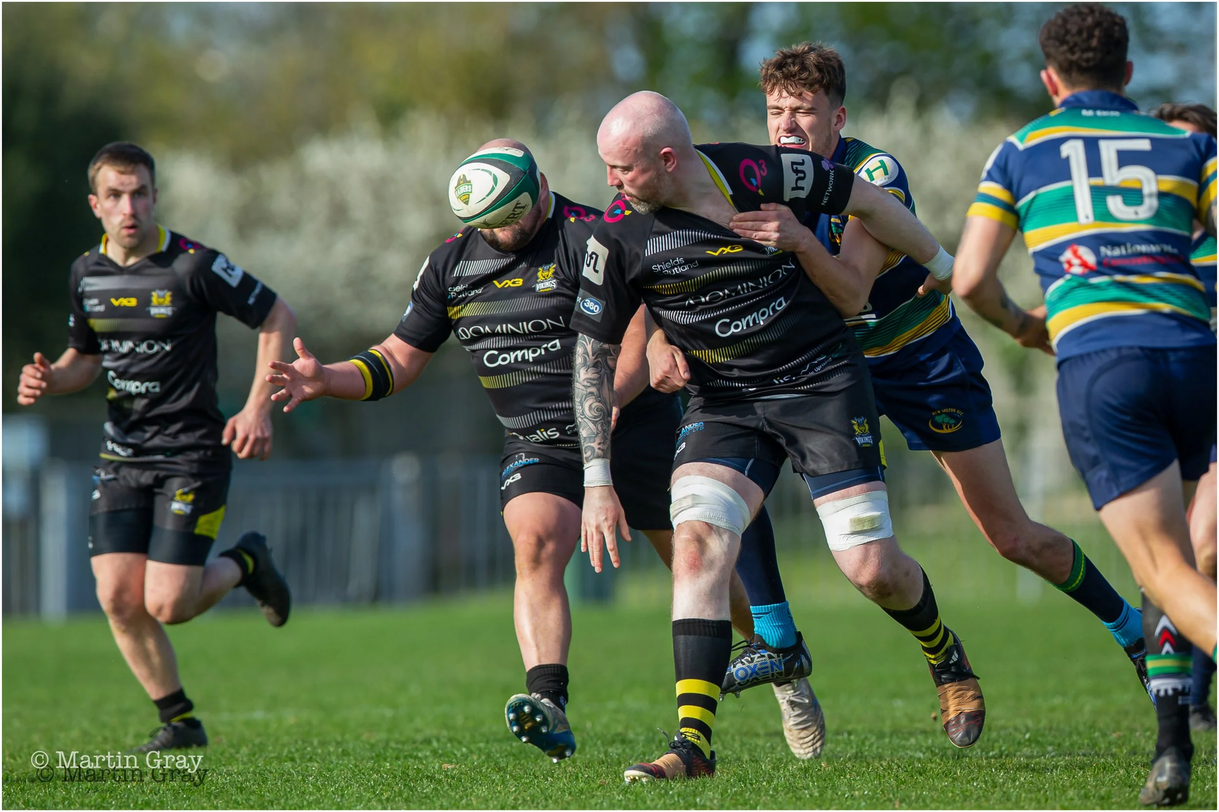 Angus MacCallum-9796.jpg