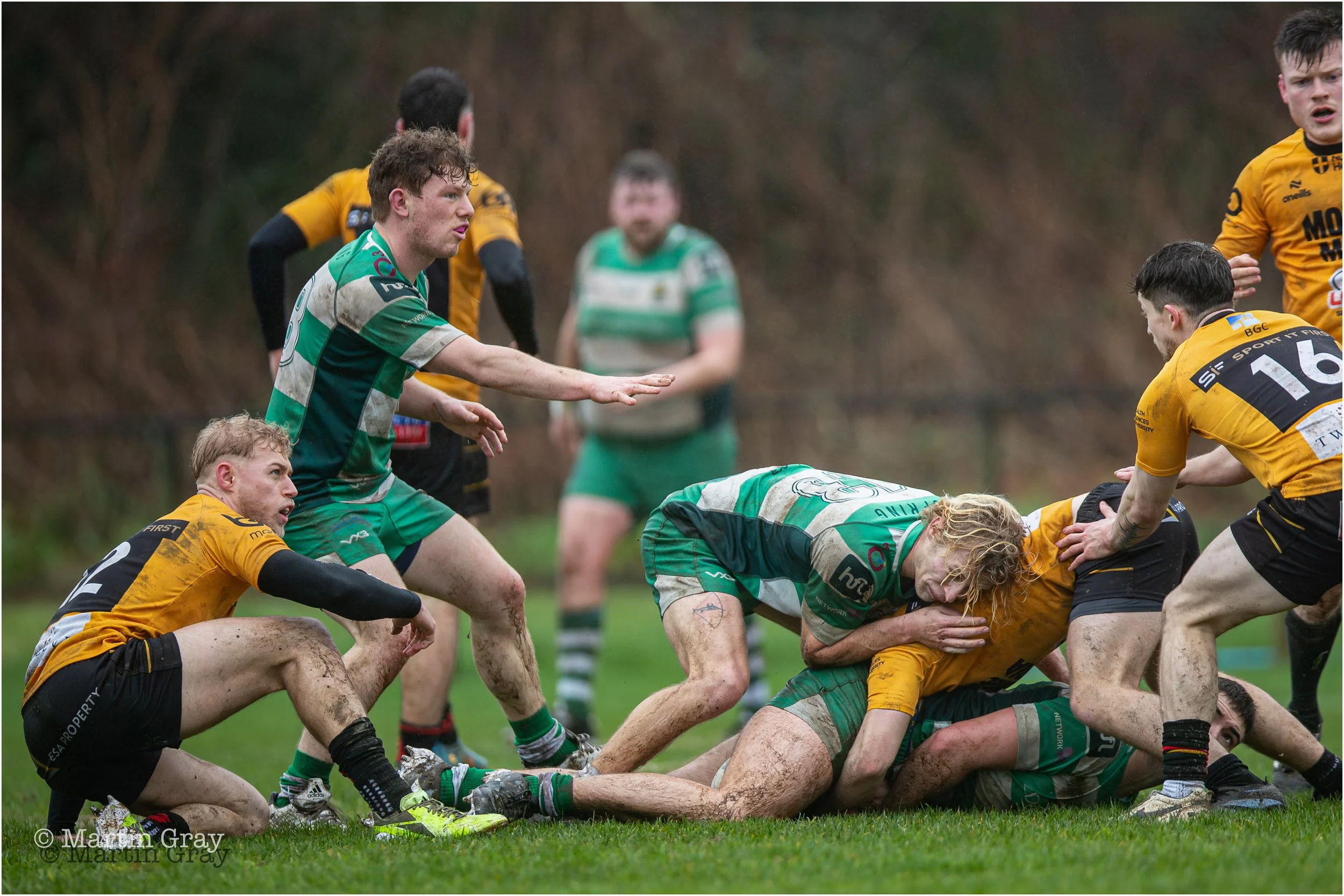 Marcus Whitfield-1411.jpg