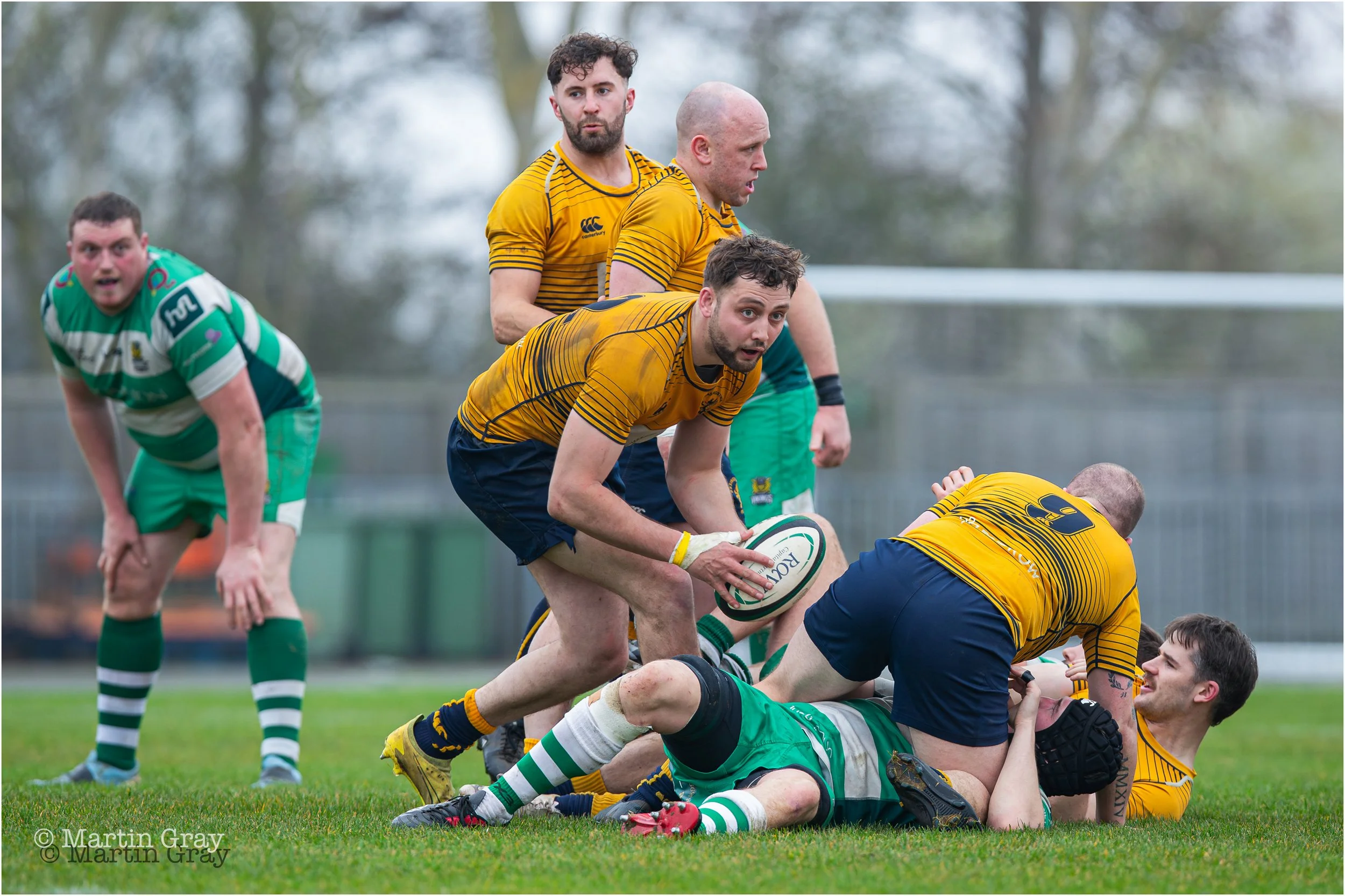 Basingstoke RFC-5007.jpg
