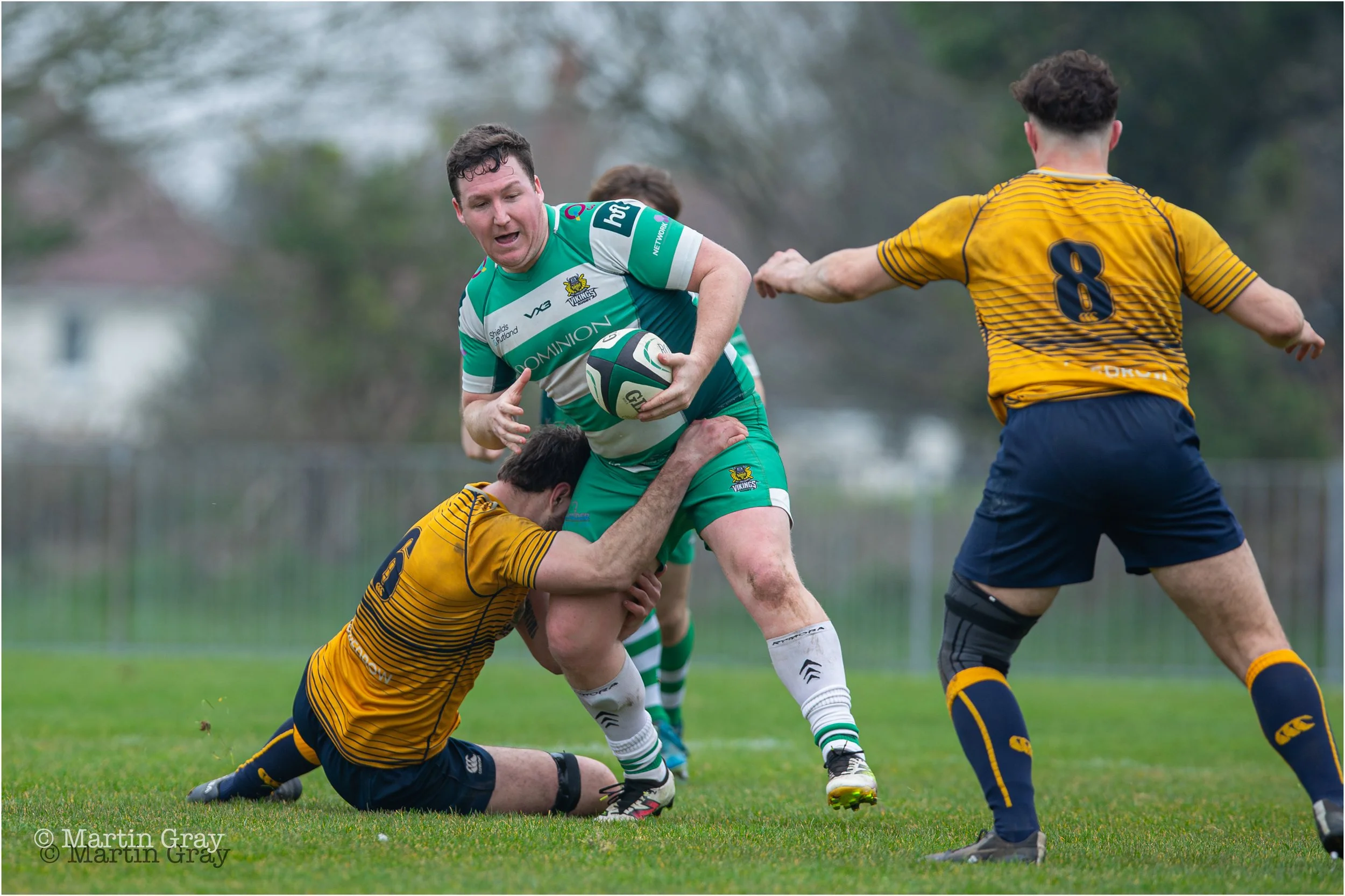 Tom Veillard-5016.jpg