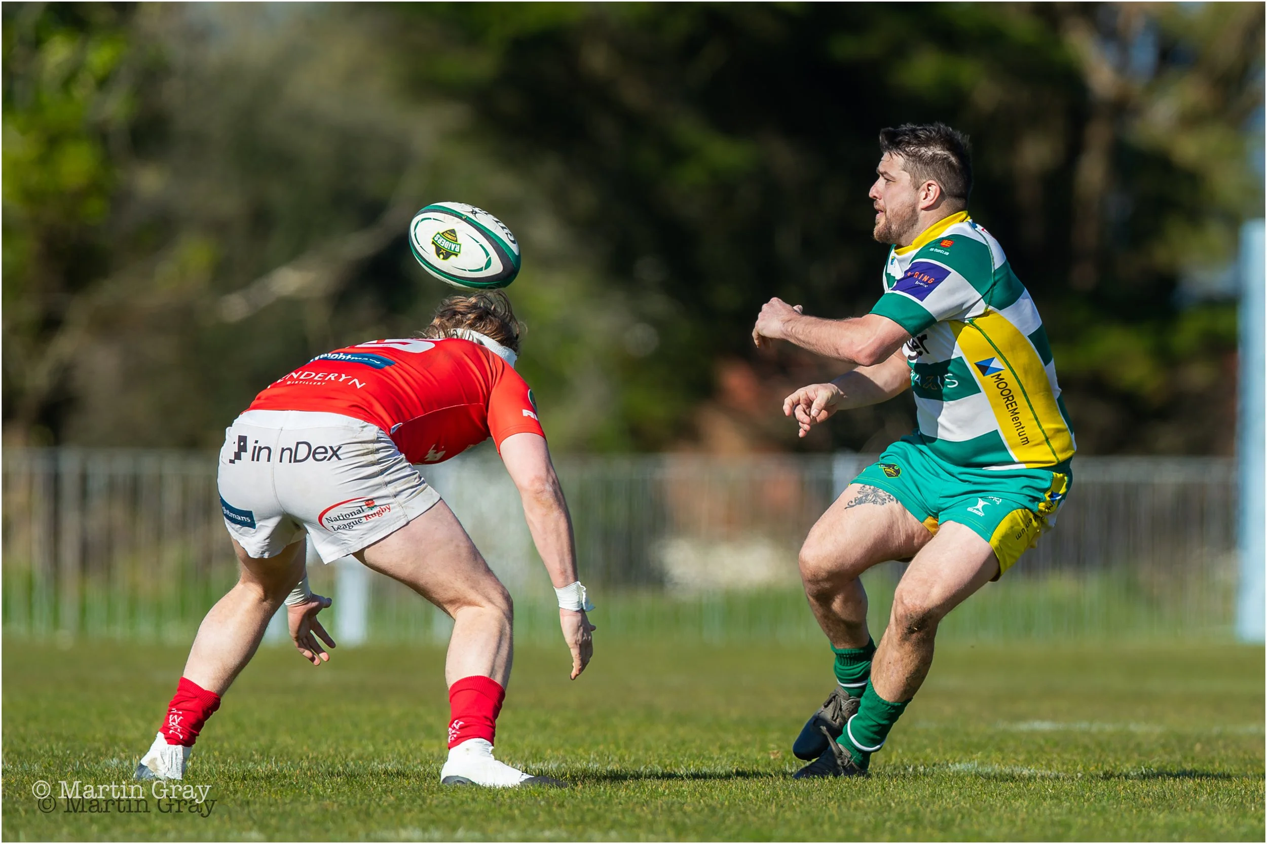 Dale Rutledge-8519.jpg