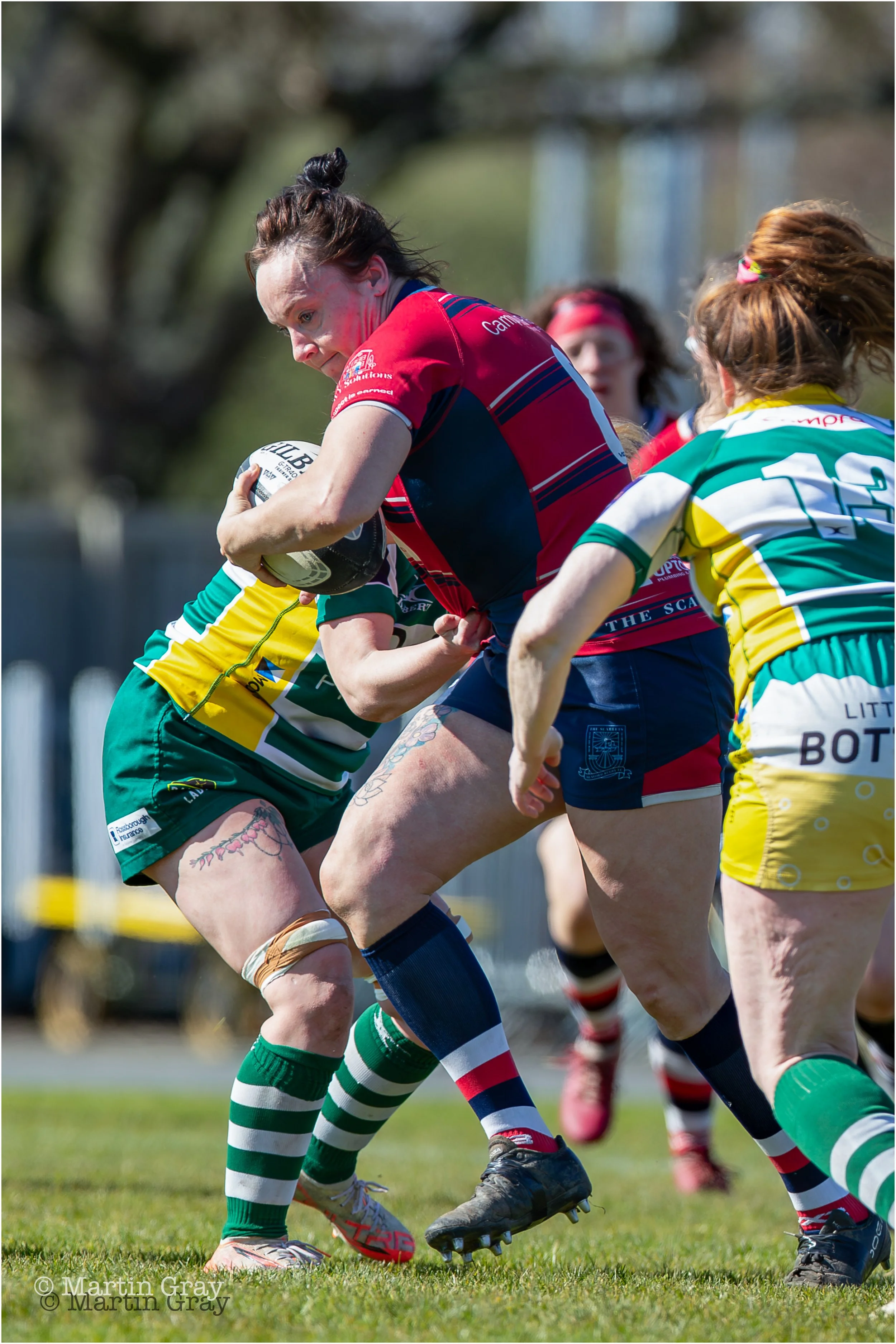 Seaford Scarlets-9350.jpg