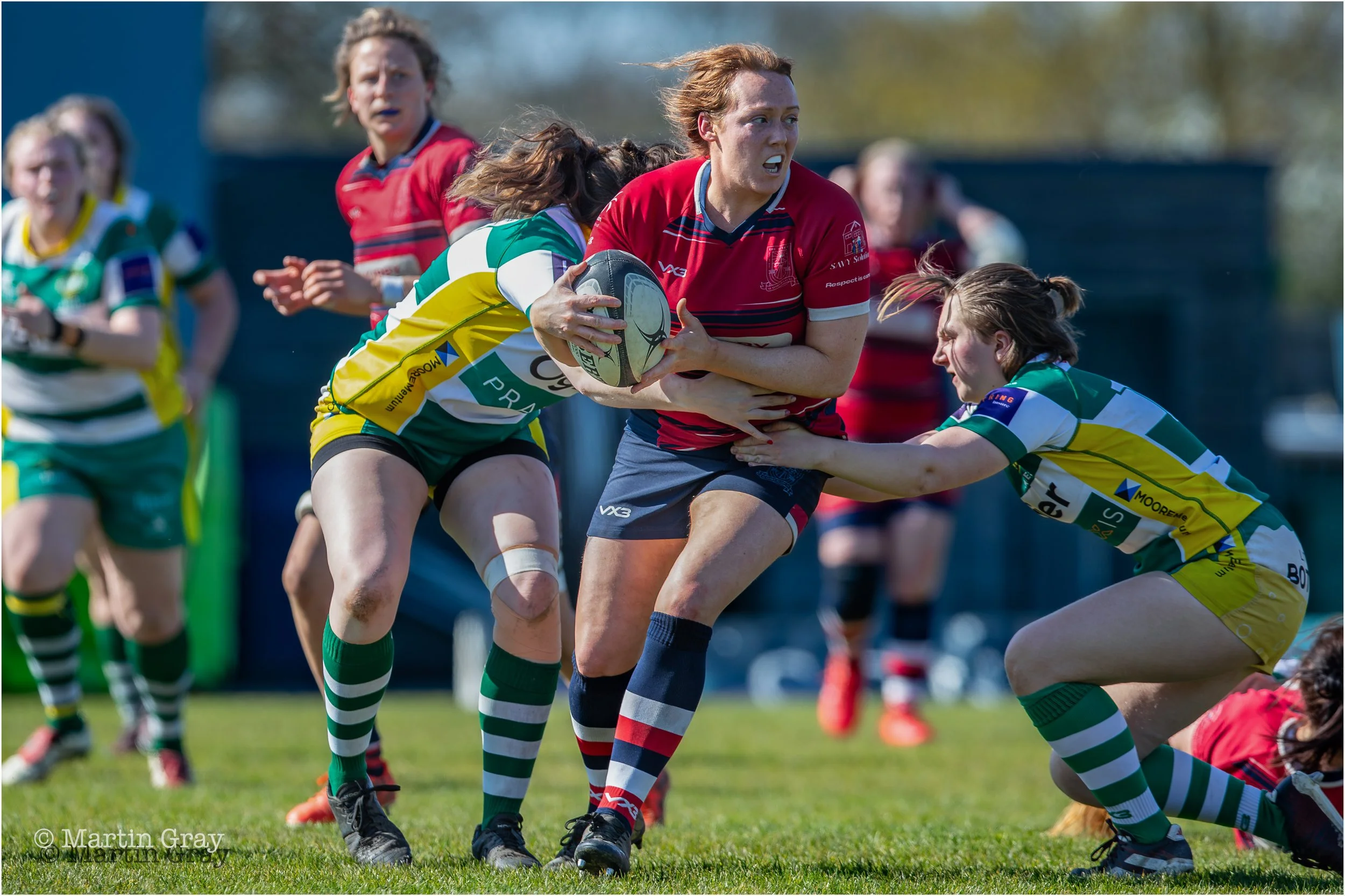 Seaford Scarlets-9358.jpg