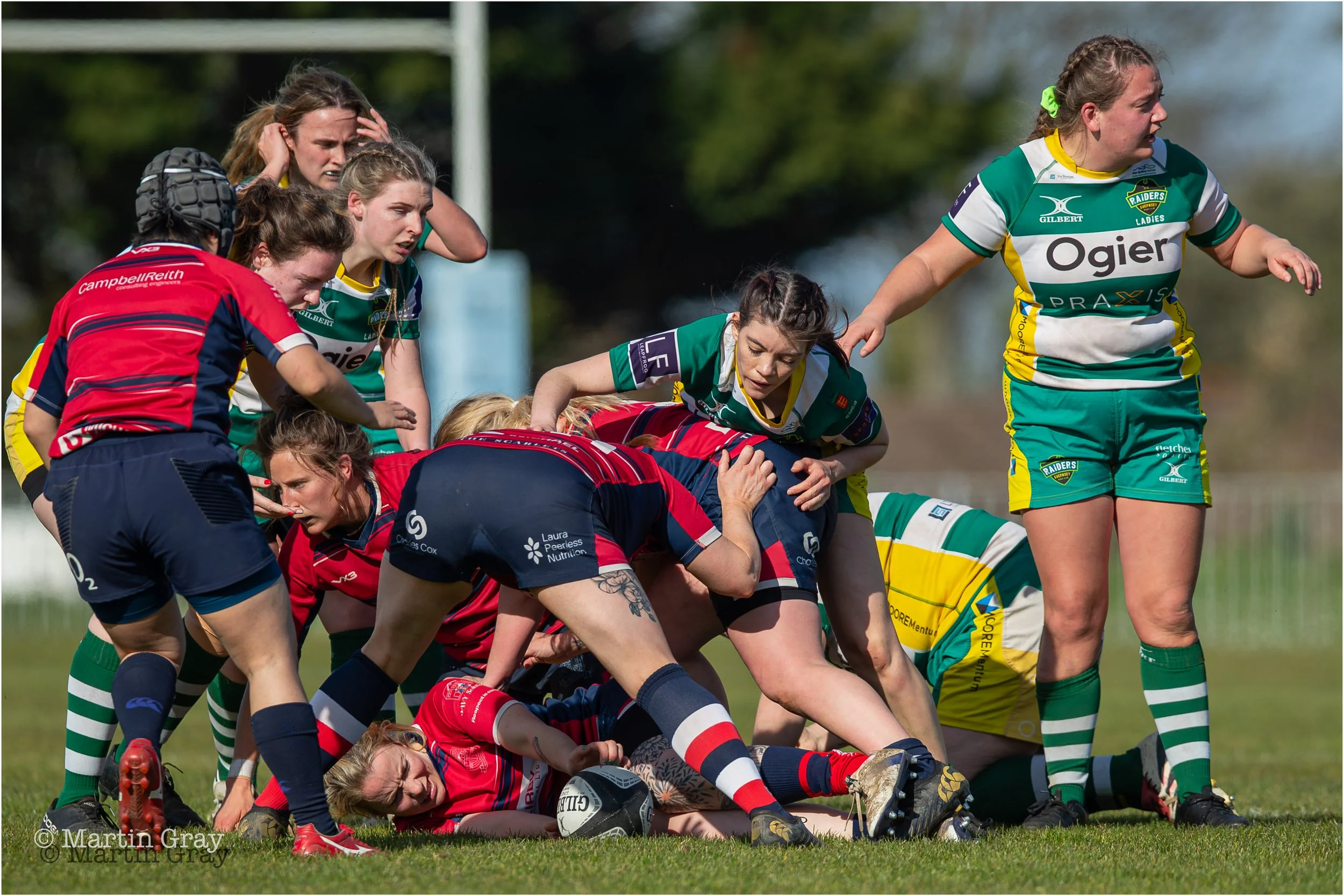 Seaford Scarlets-9877.jpg