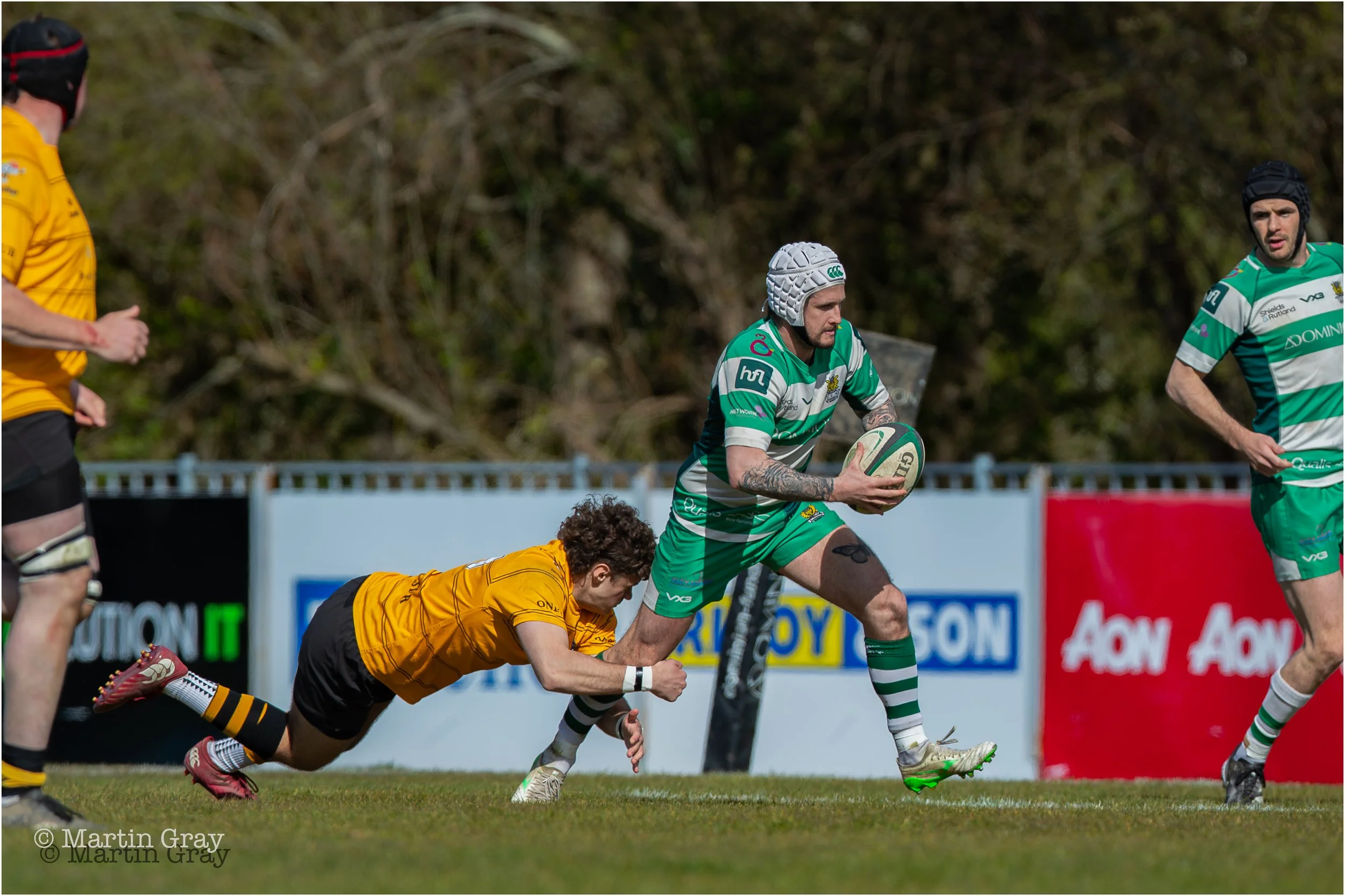 Taylor Quate-0379.jpg