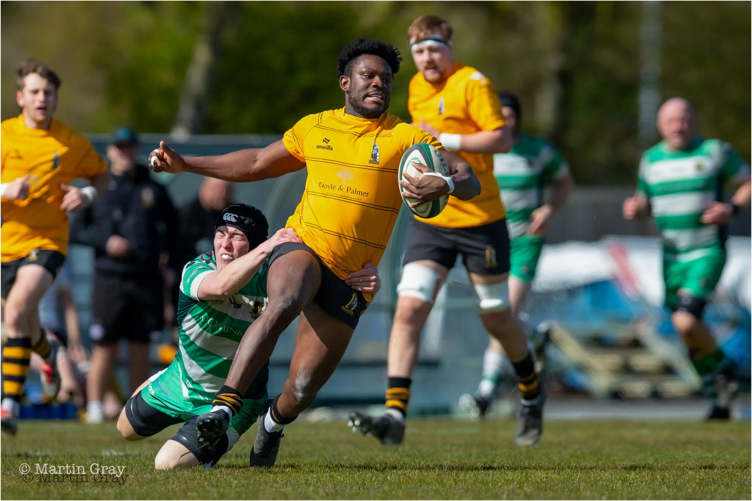 Winchester RFC-0051.jpg