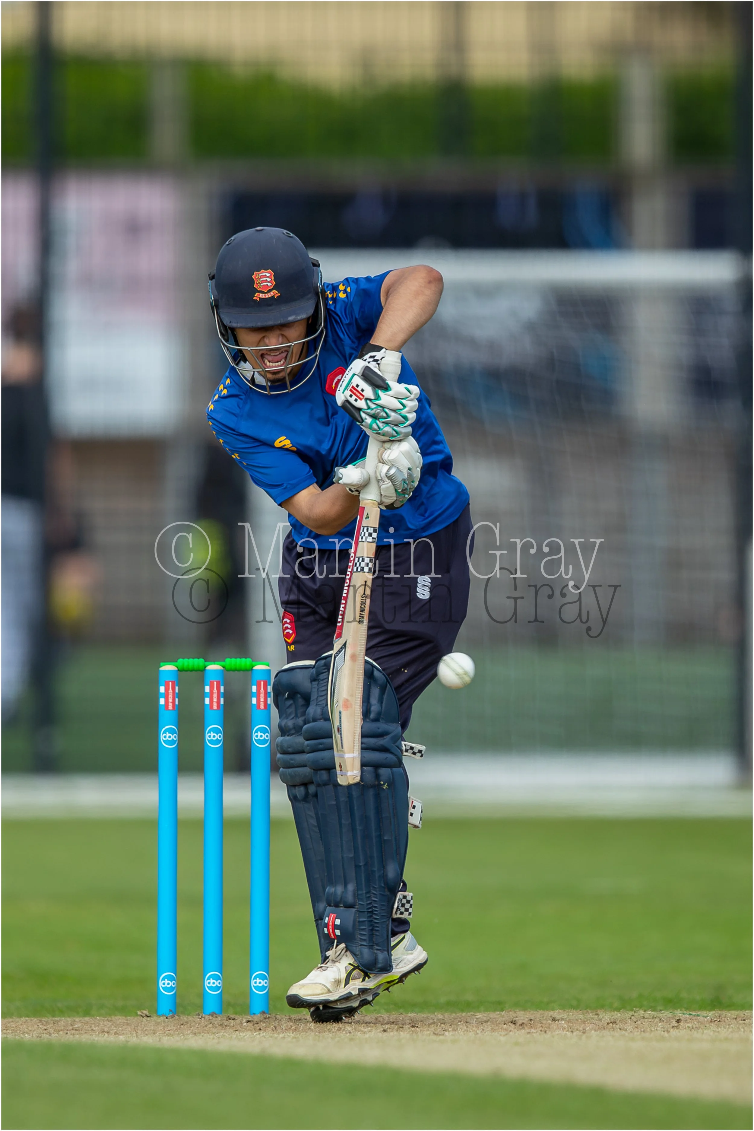 Areeb Rashid-3077.jpg