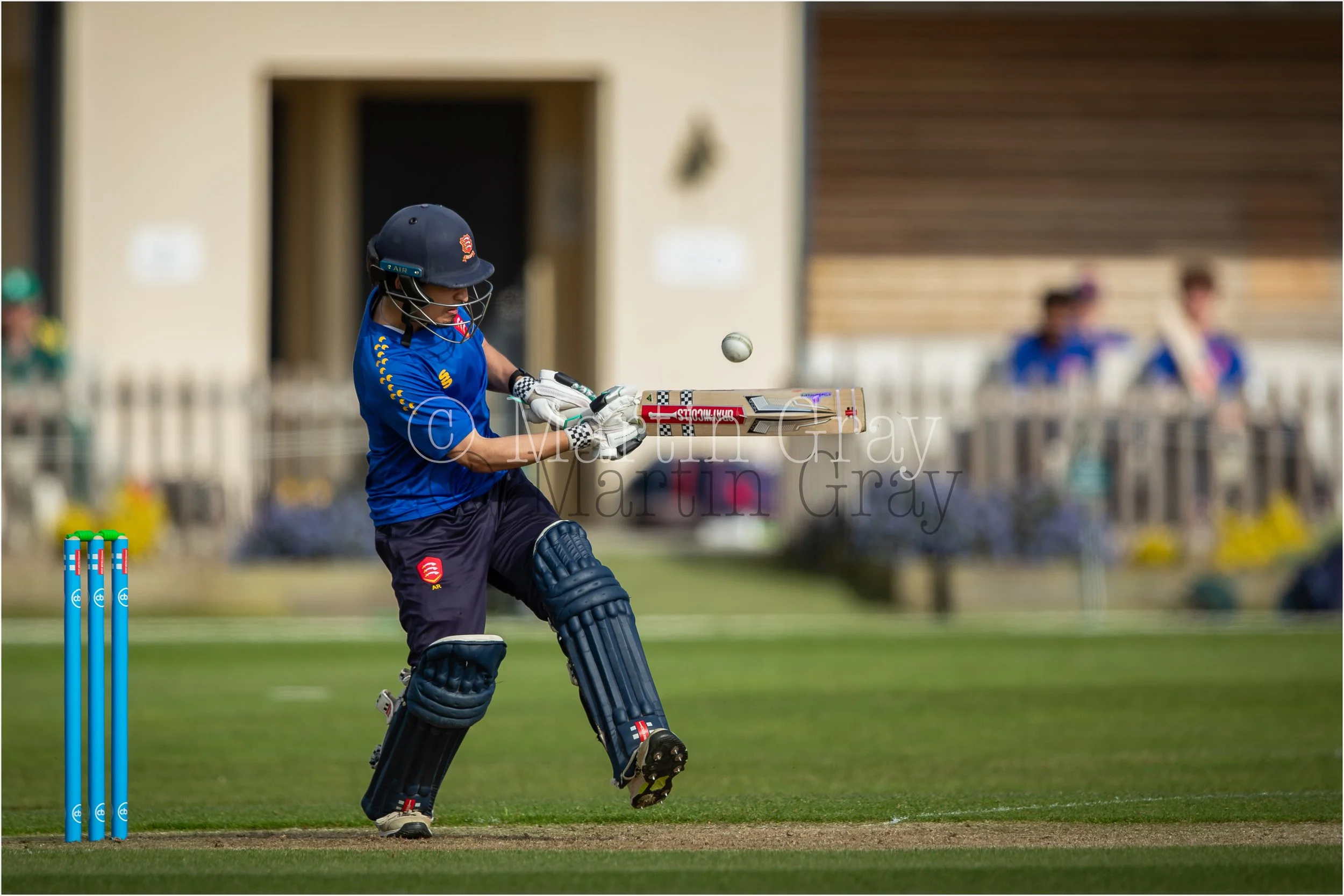 Areeb Rashid-3120.jpg