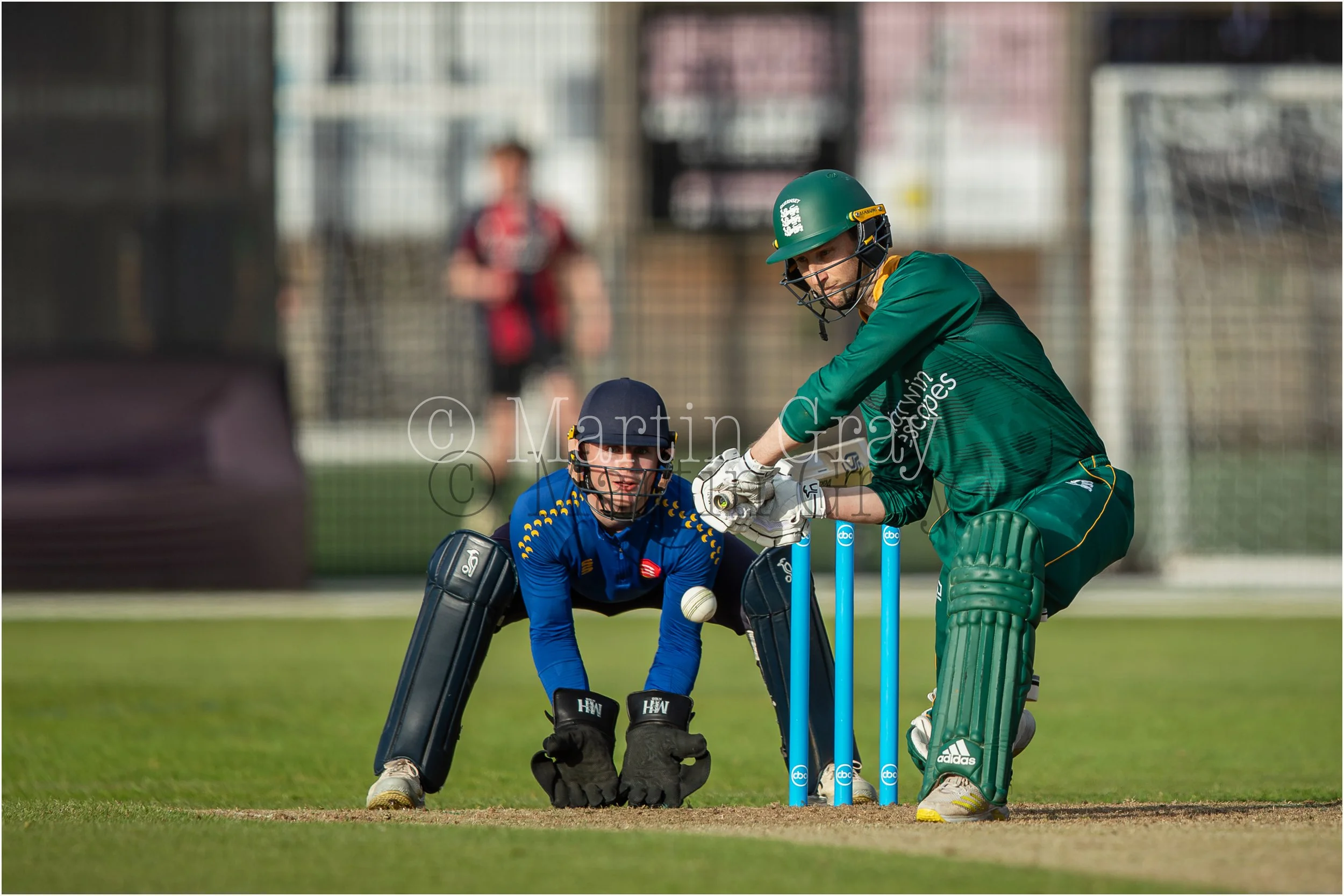 Matt Stokes-3571.jpg