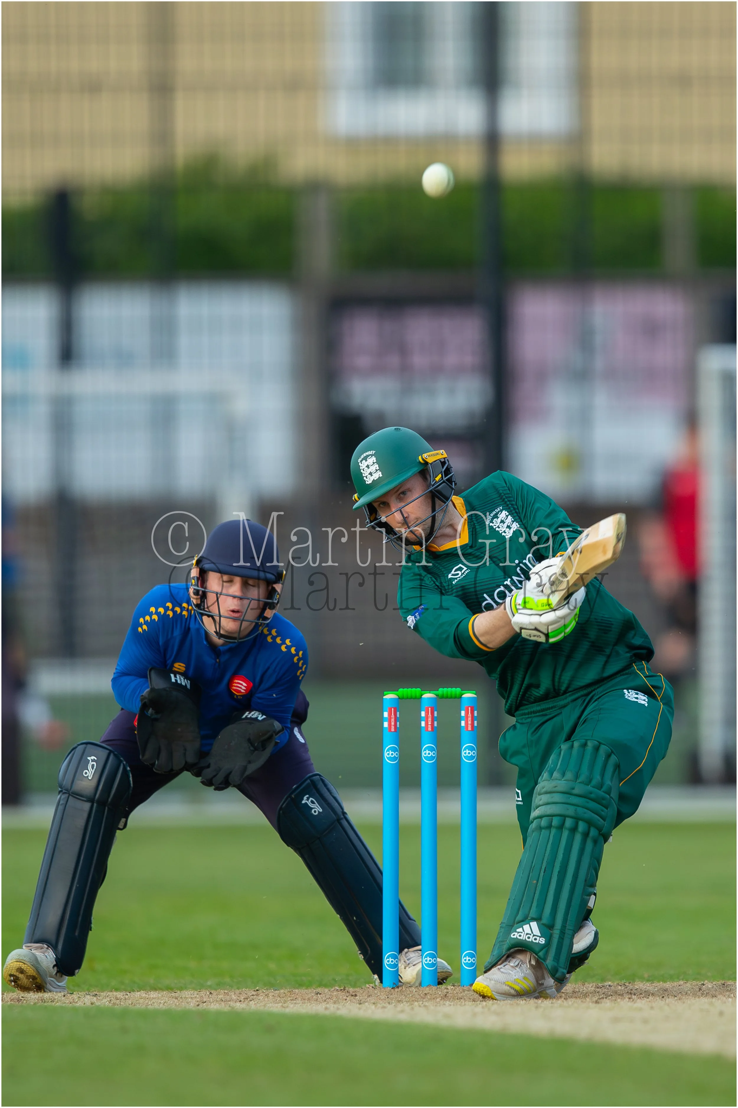 Matt Stokes-3793.jpg