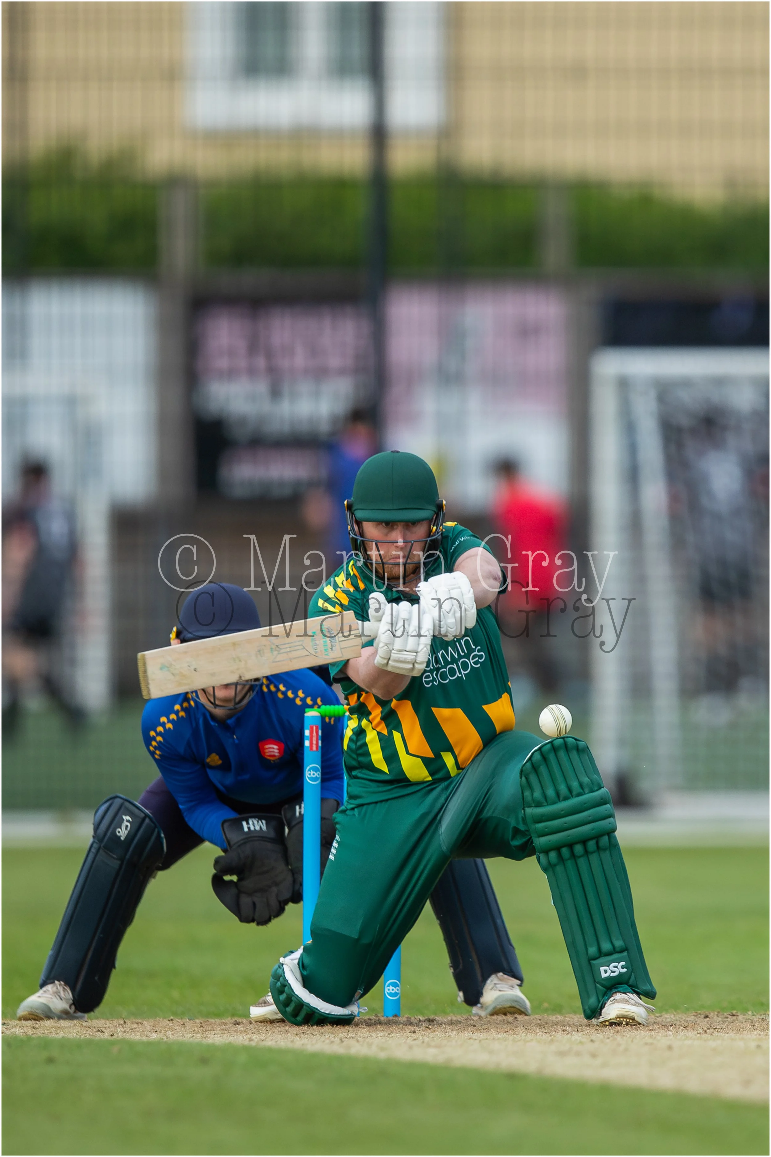 Nathan Le Tissier-3689.jpg