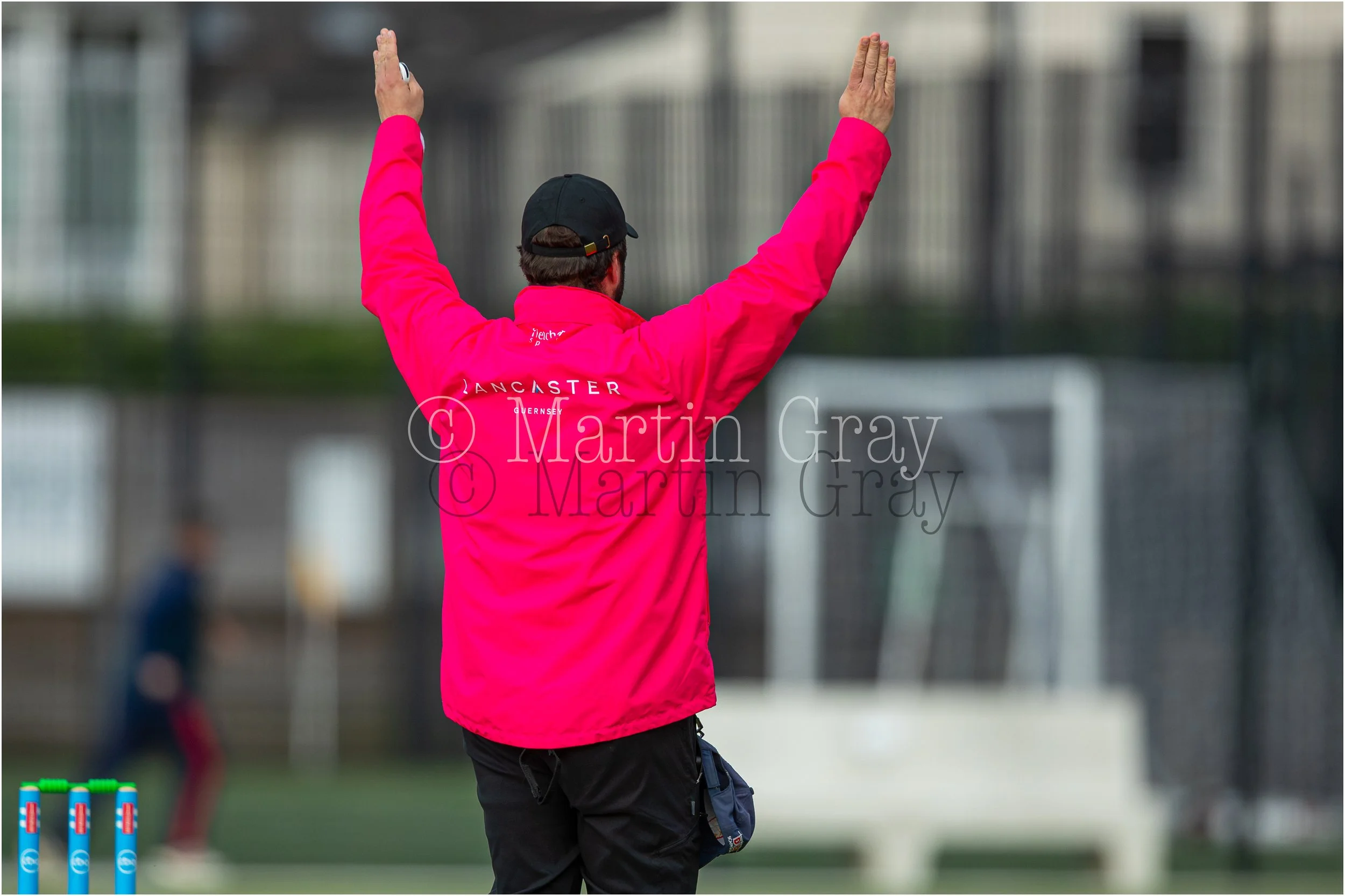 Umpire Jordan Gallienne six-3495.jpg