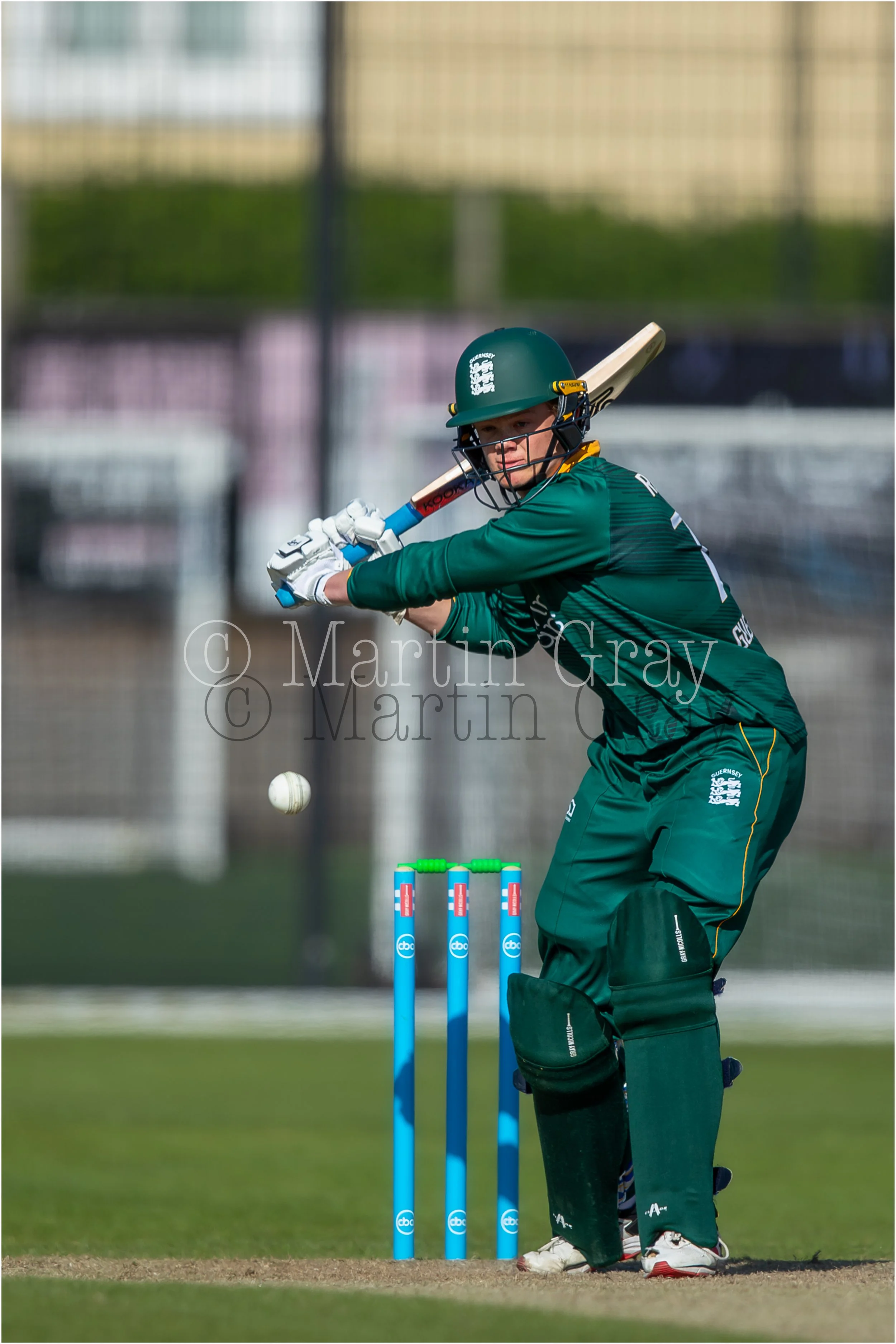 Ed Robinson-4919.jpg