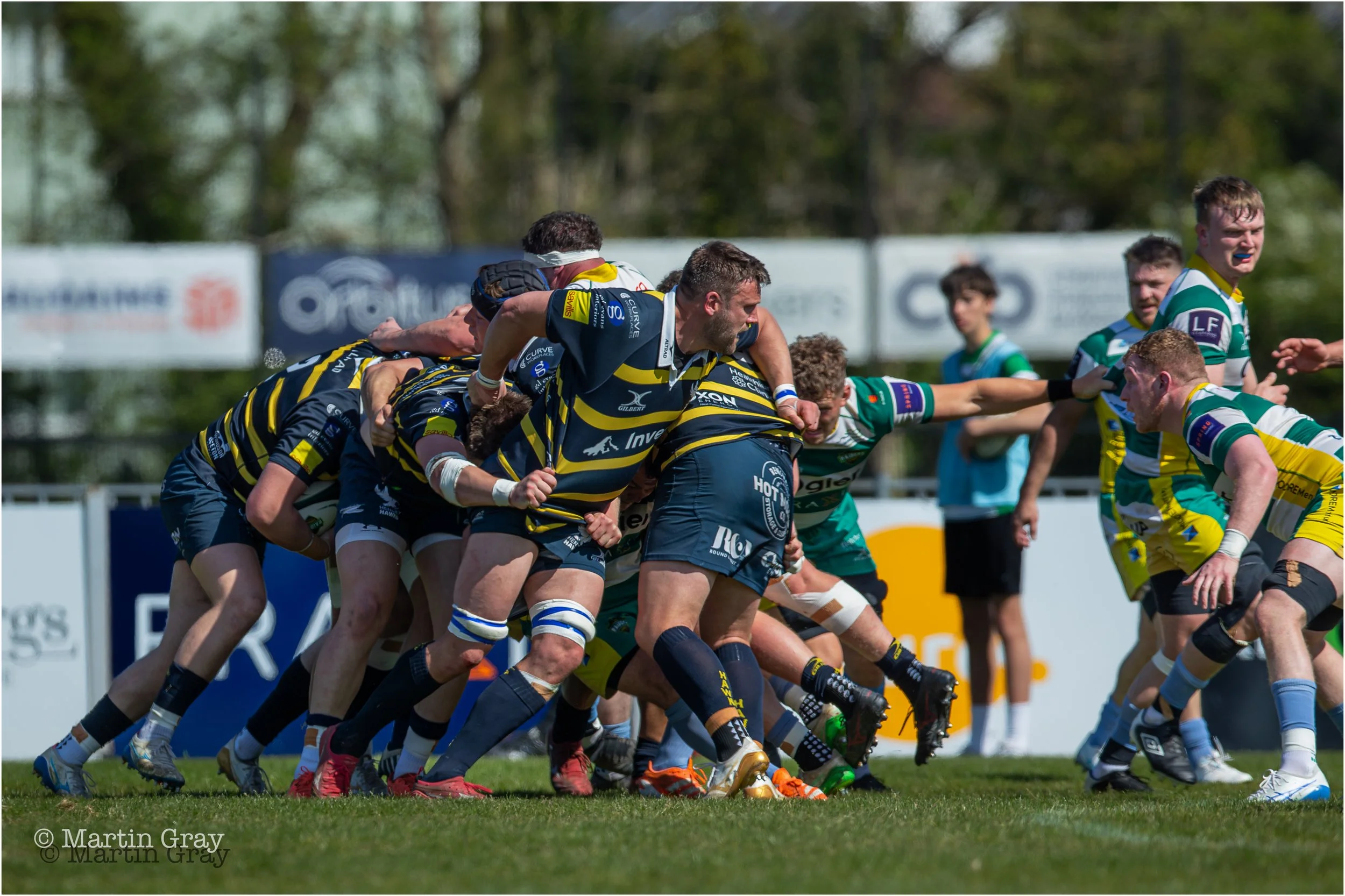 Henley Hawks-7187.jpg