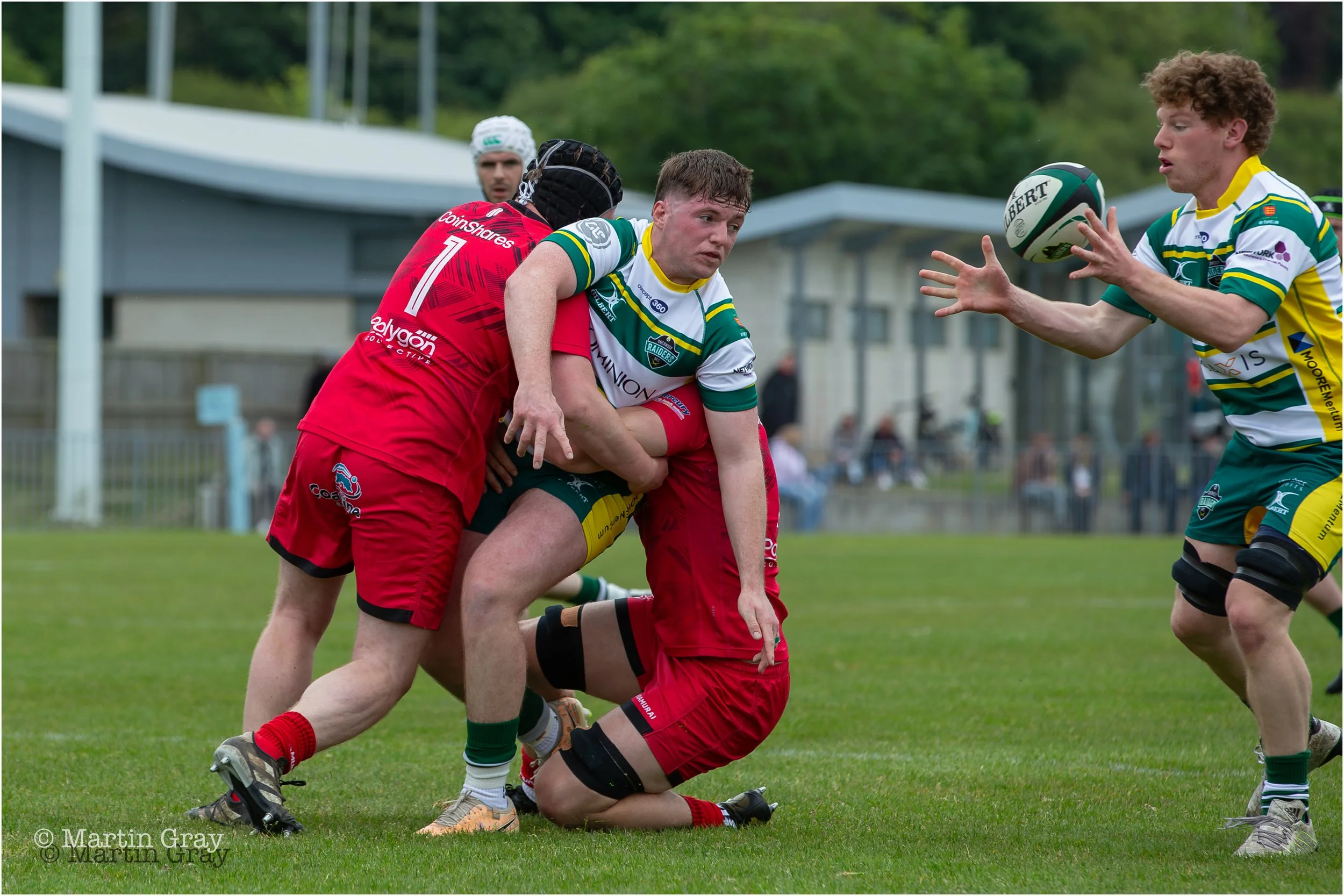 Niall McGann-2.jpg